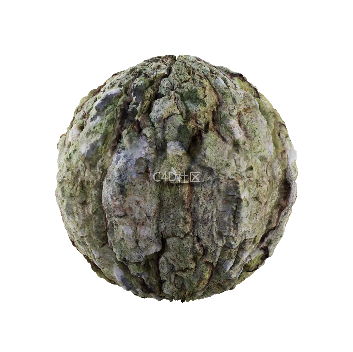 树皮纹理25052848