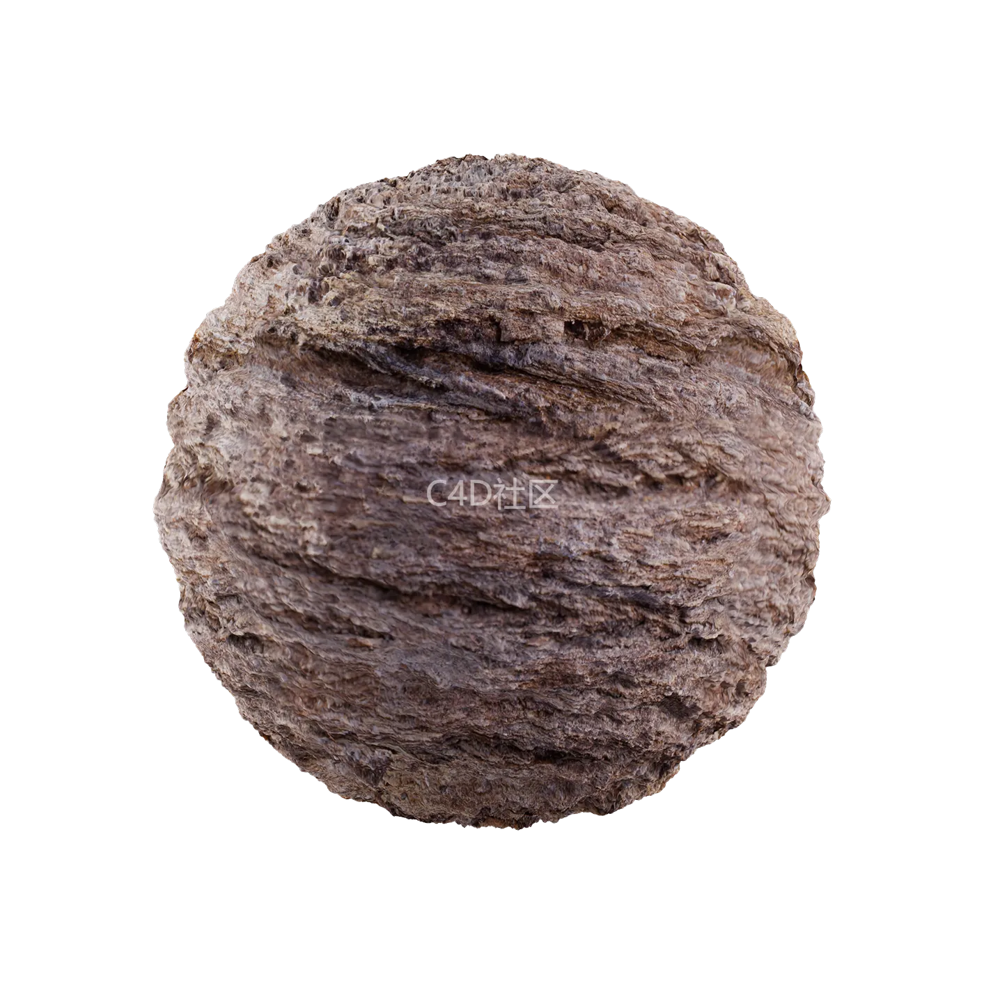 树皮纹理25052849