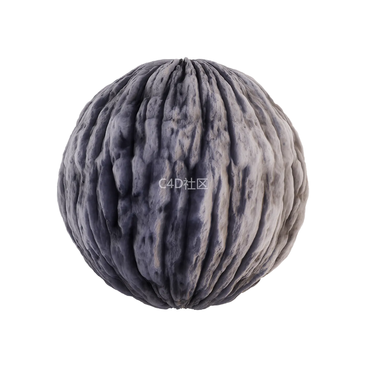 树皮纹理25052877