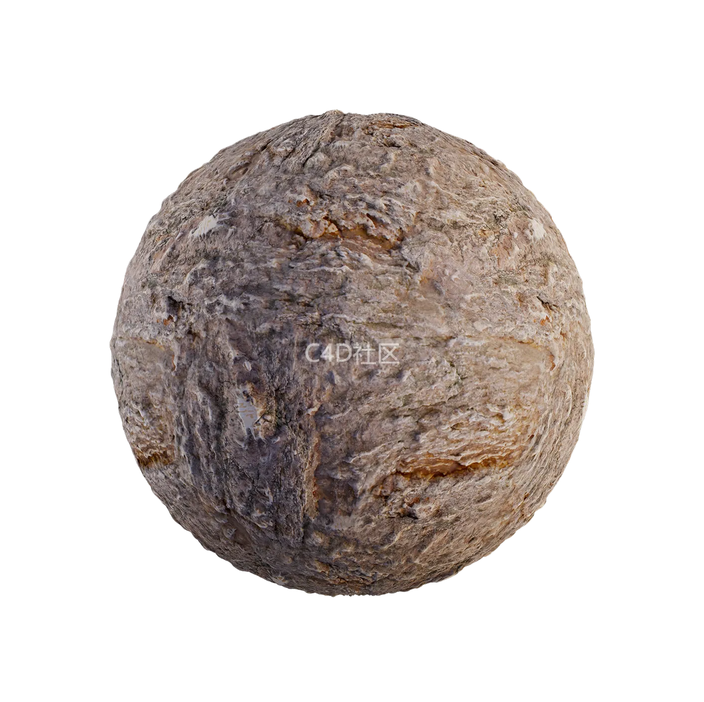 树皮纹理25052881