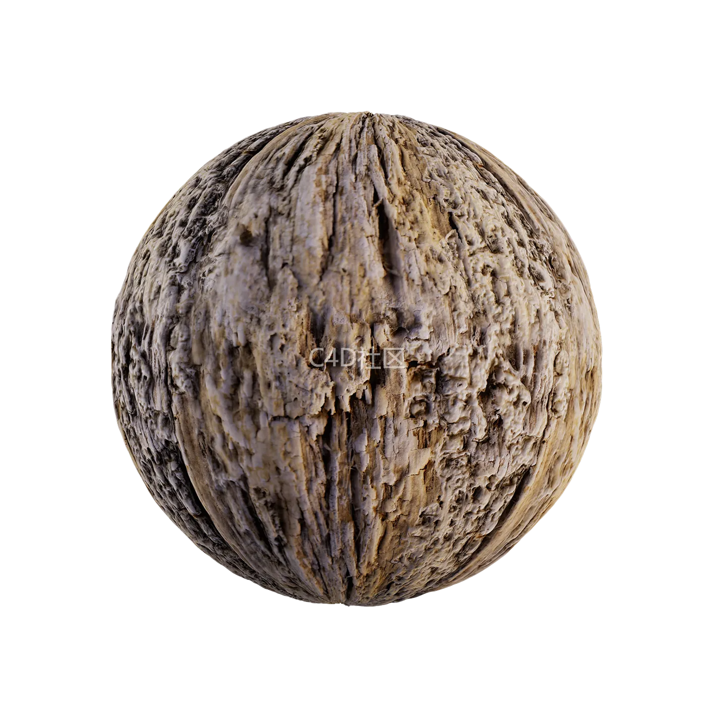 树皮纹理25052882