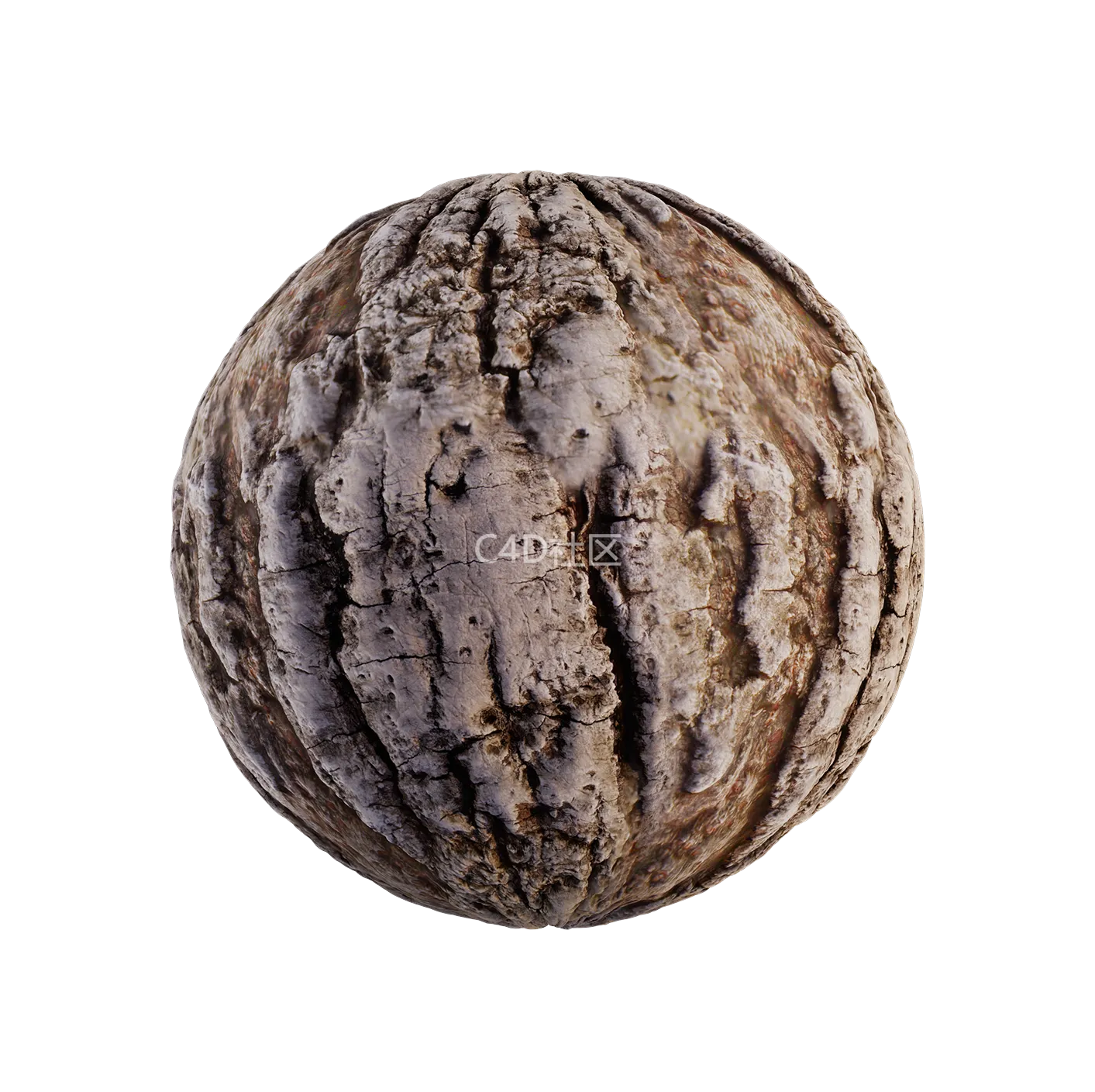 树皮纹理25052884