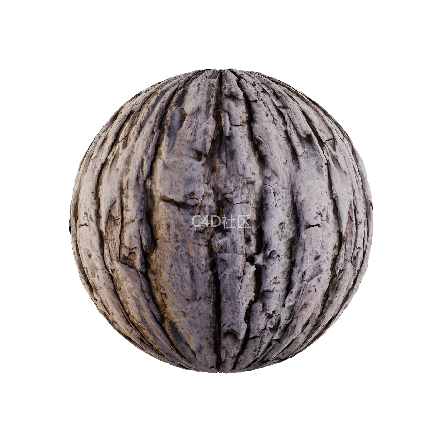 树皮纹理25052888