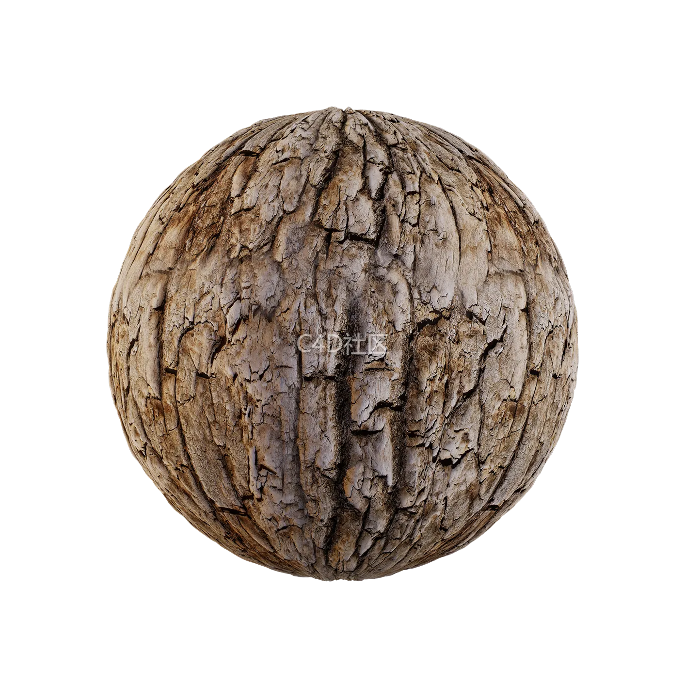 树皮纹理25052889