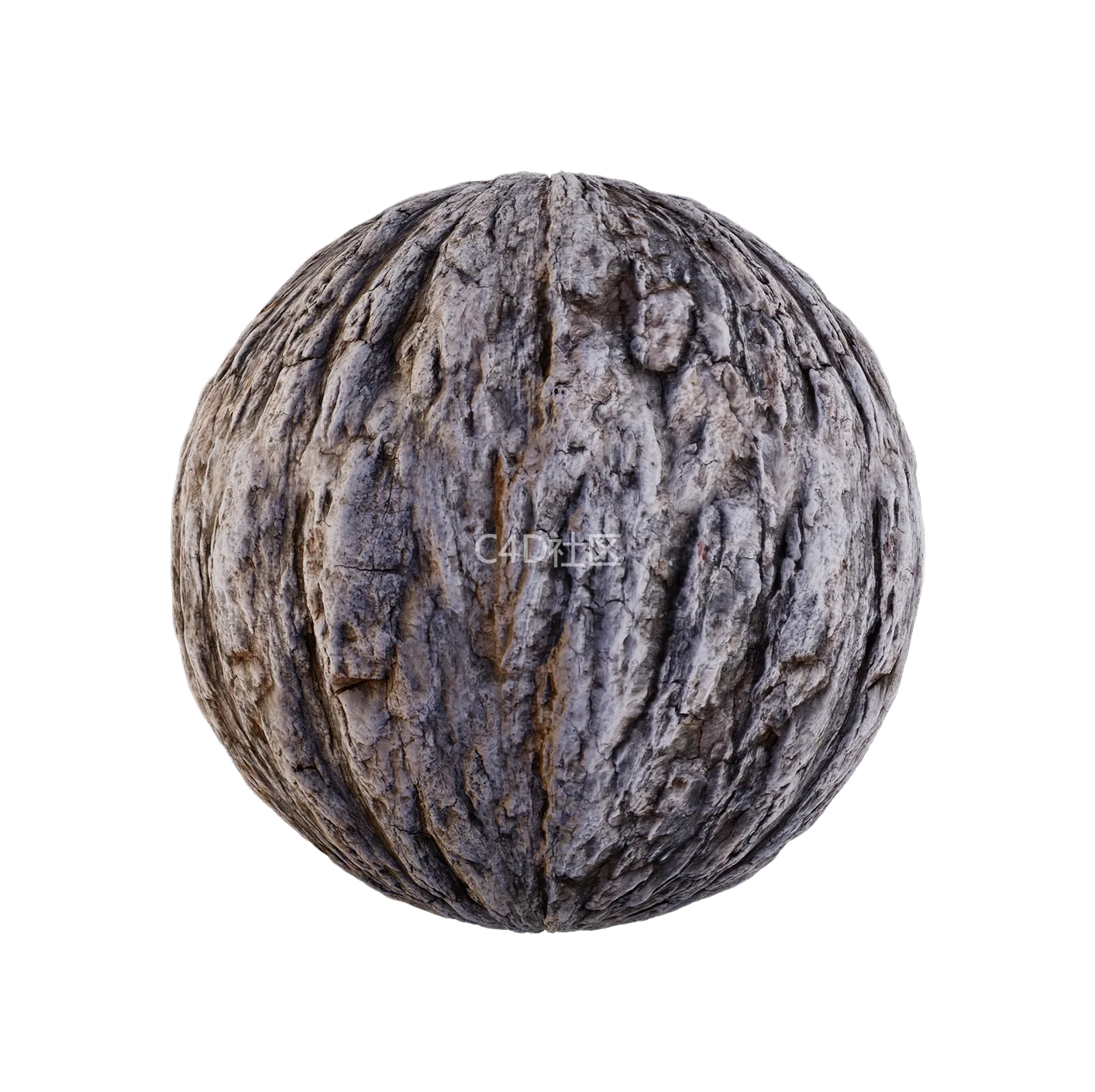 树皮纹理25052891