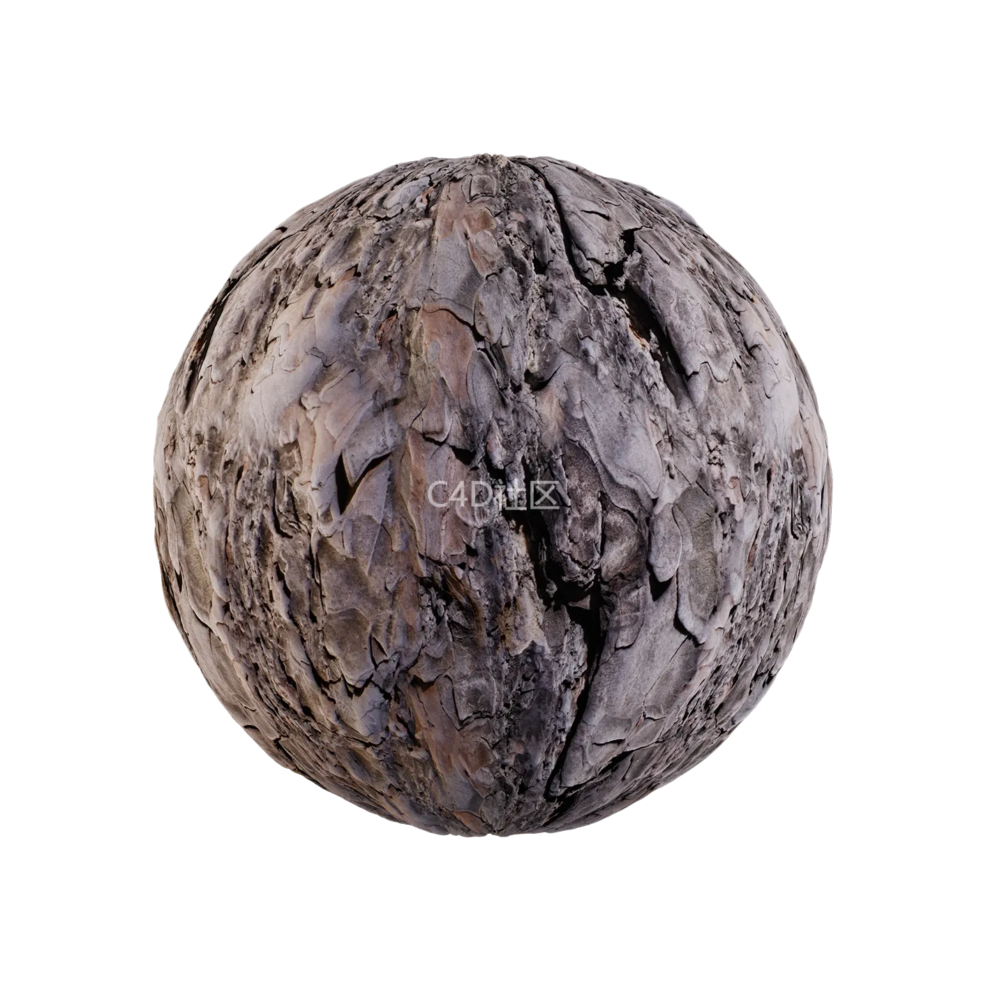 树皮纹理25052892