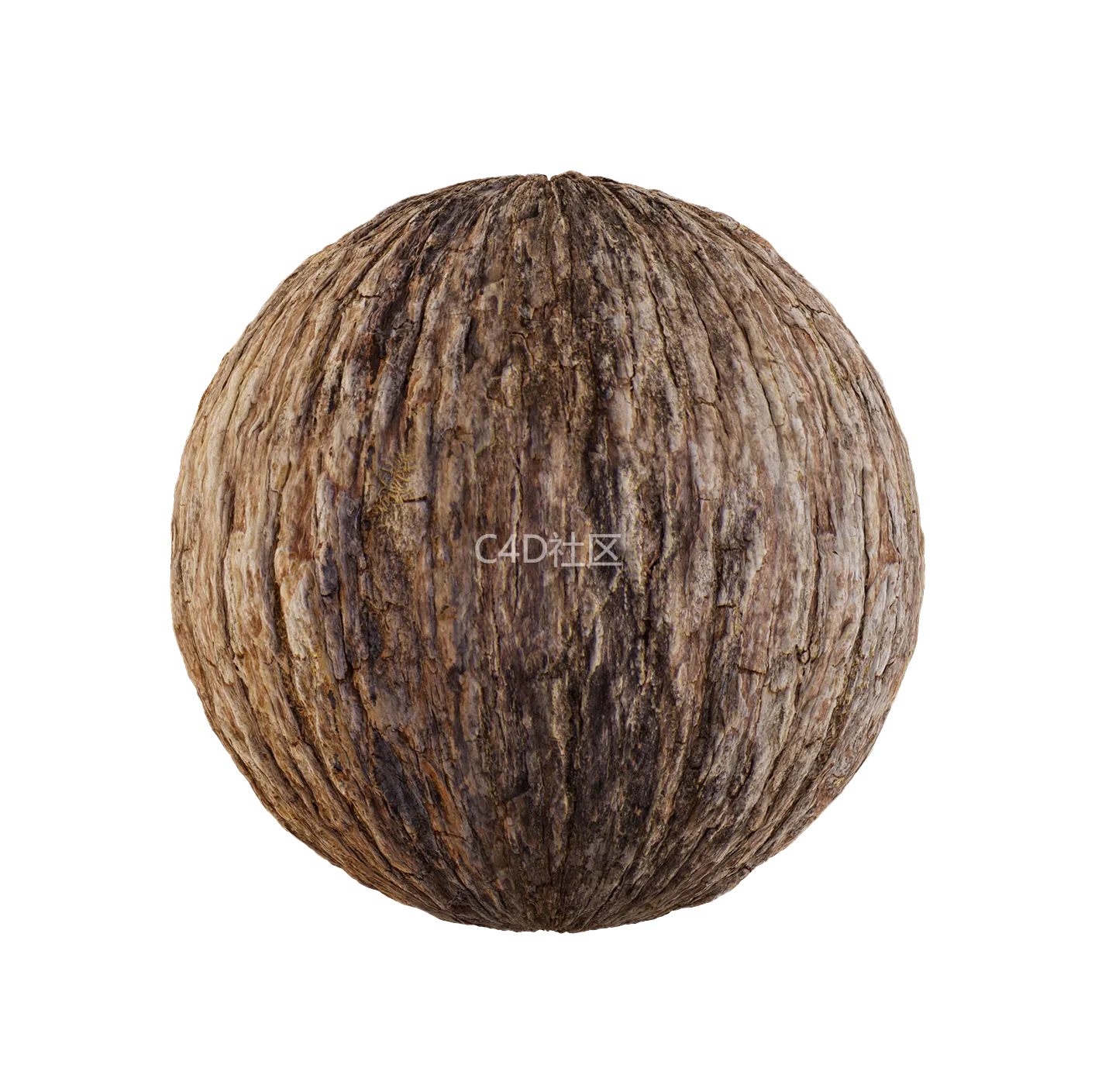 树皮纹理25052893