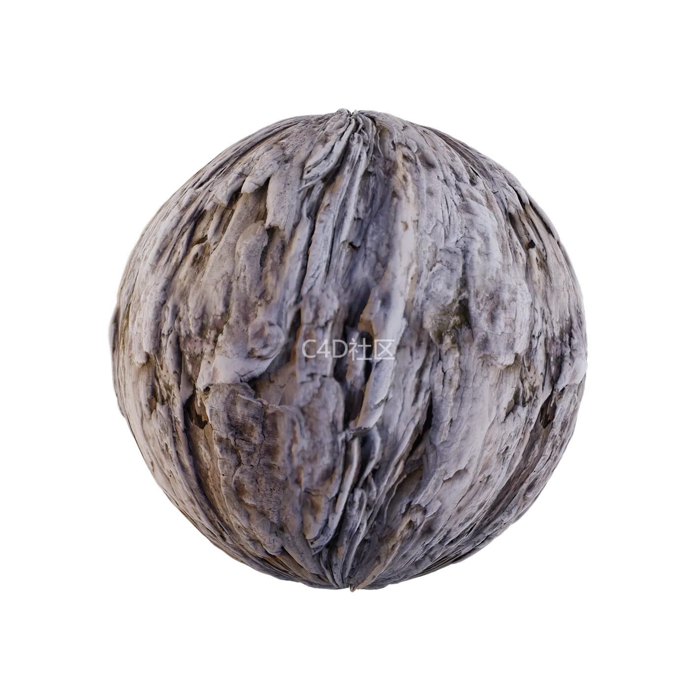 树皮纹理25052894