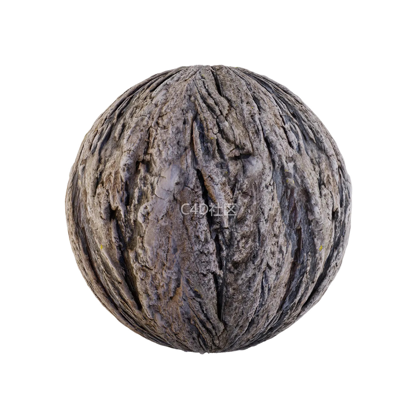 树皮纹理25052895