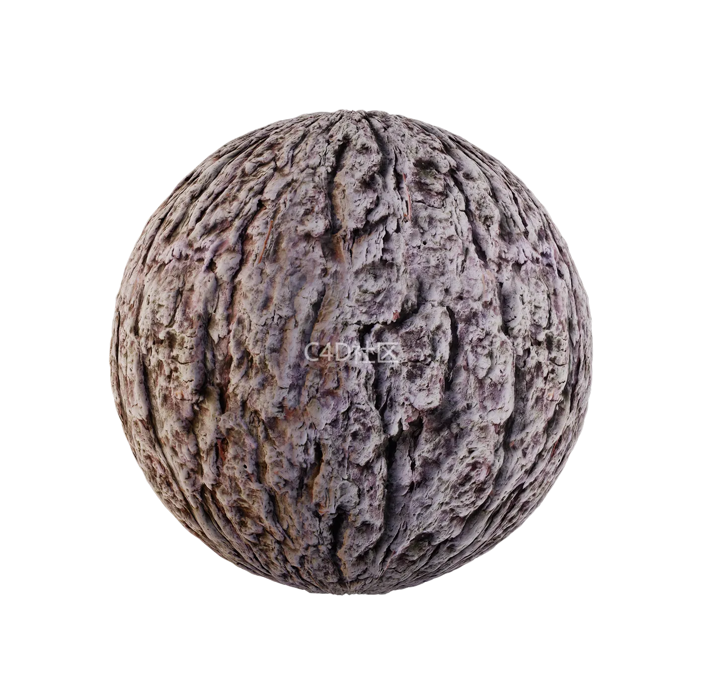 树皮纹理25052896