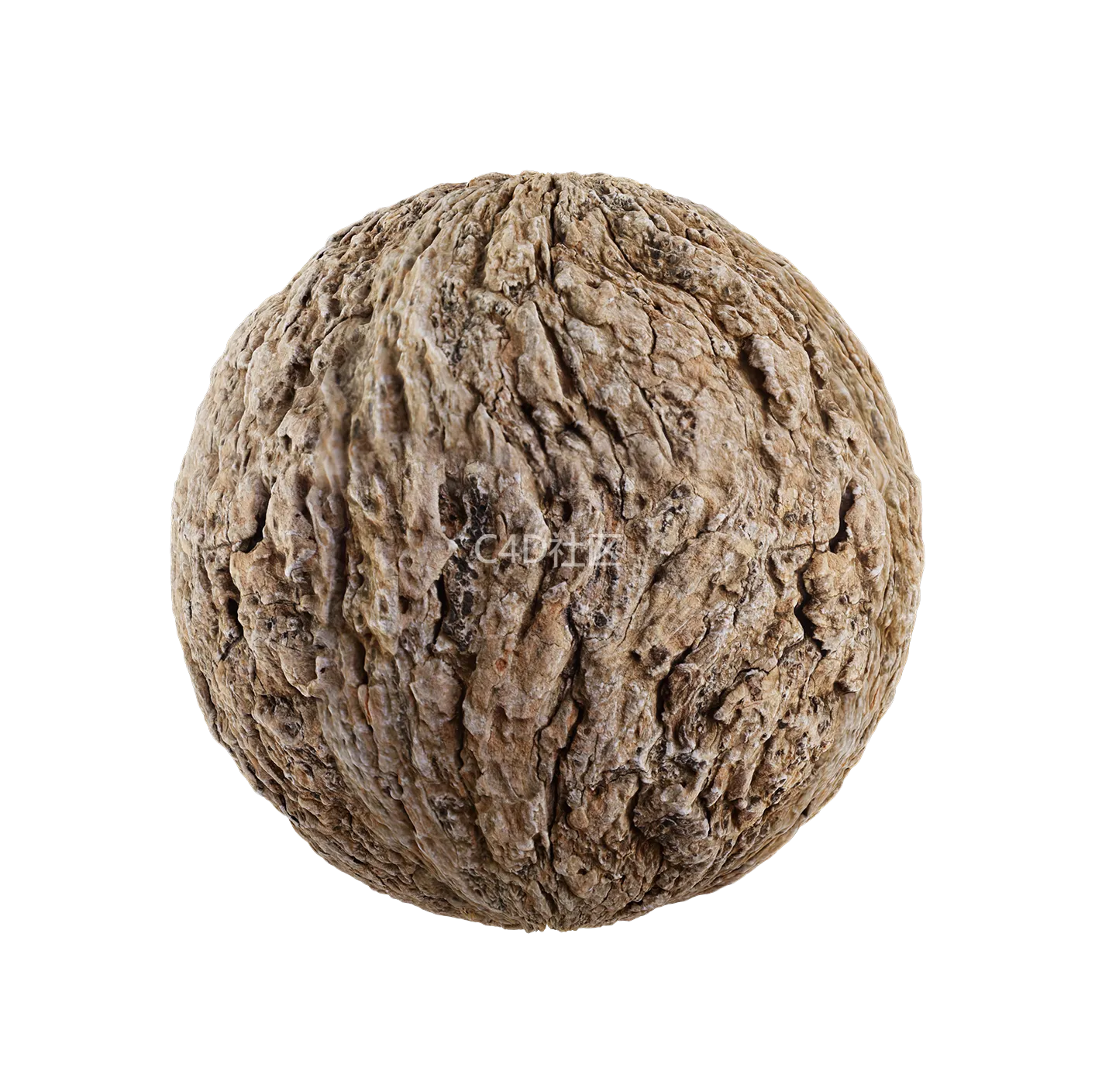 树皮纹理25052898