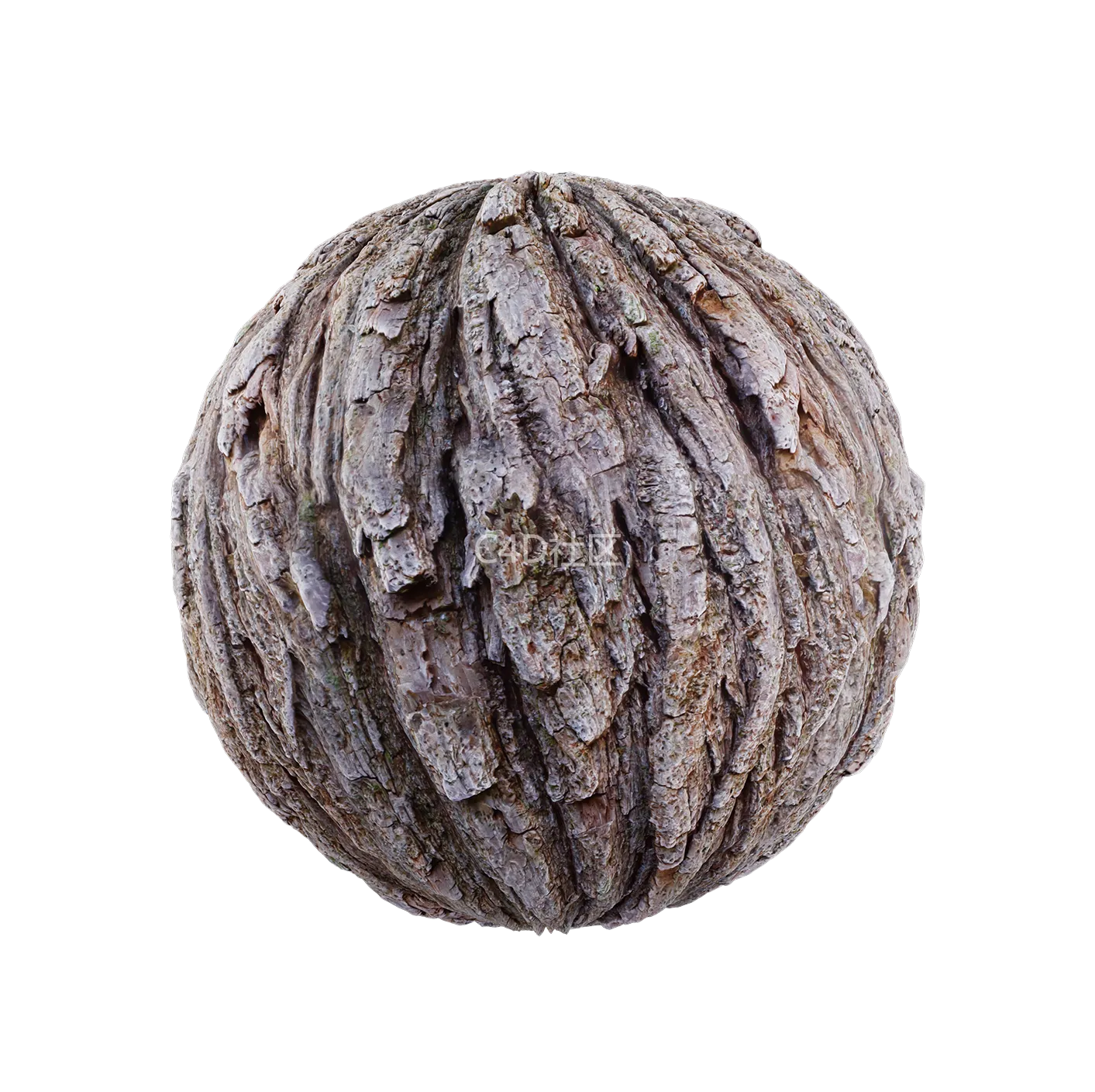 树皮纹理25052899