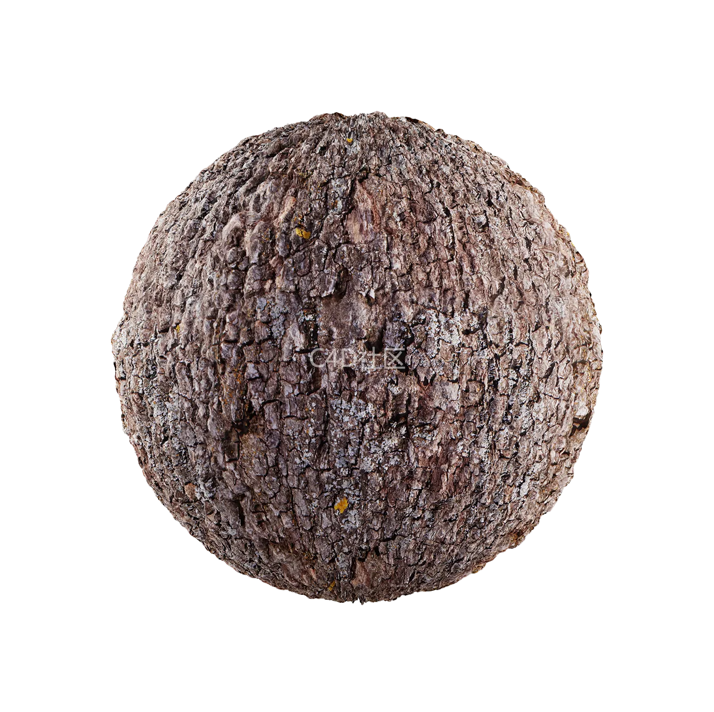 树皮纹理25052900