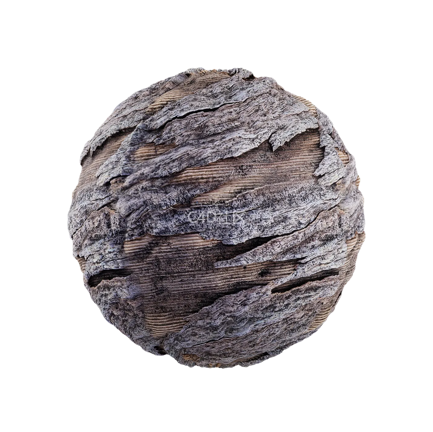 树皮纹理25052902