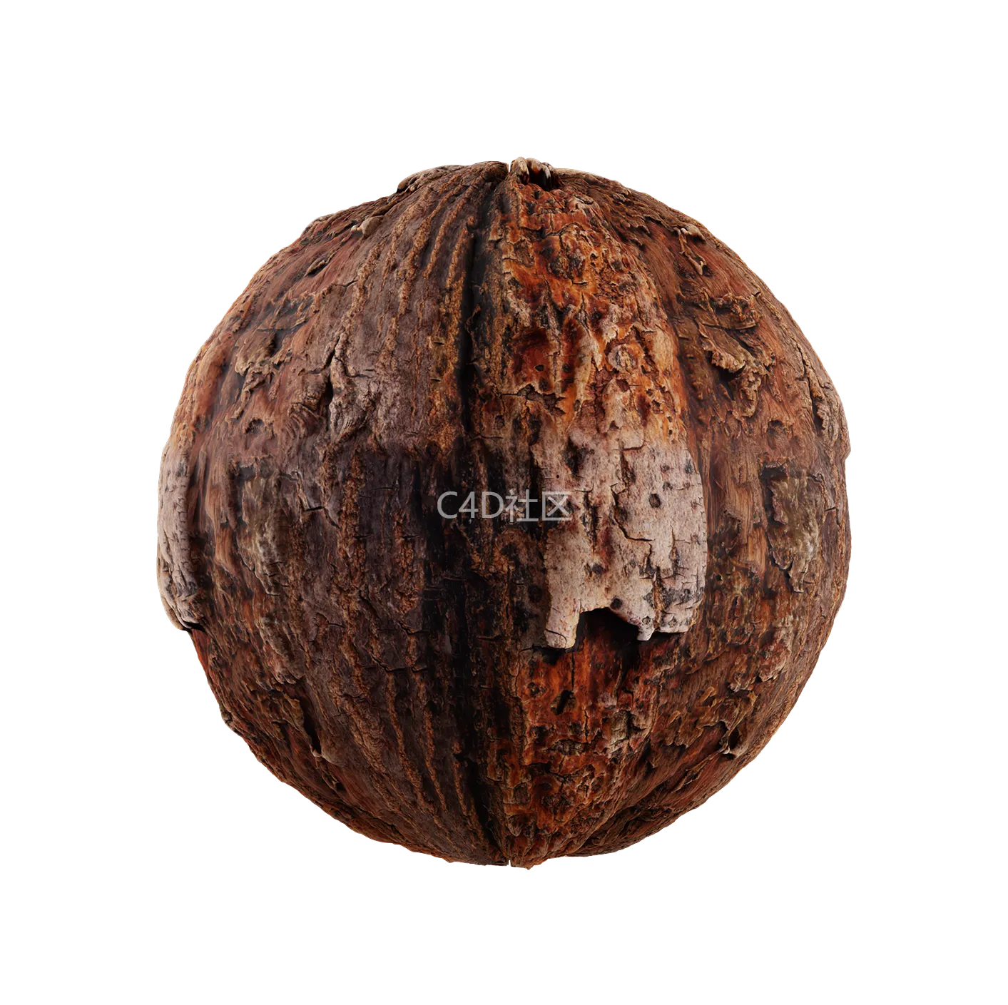 树皮纹理25052903