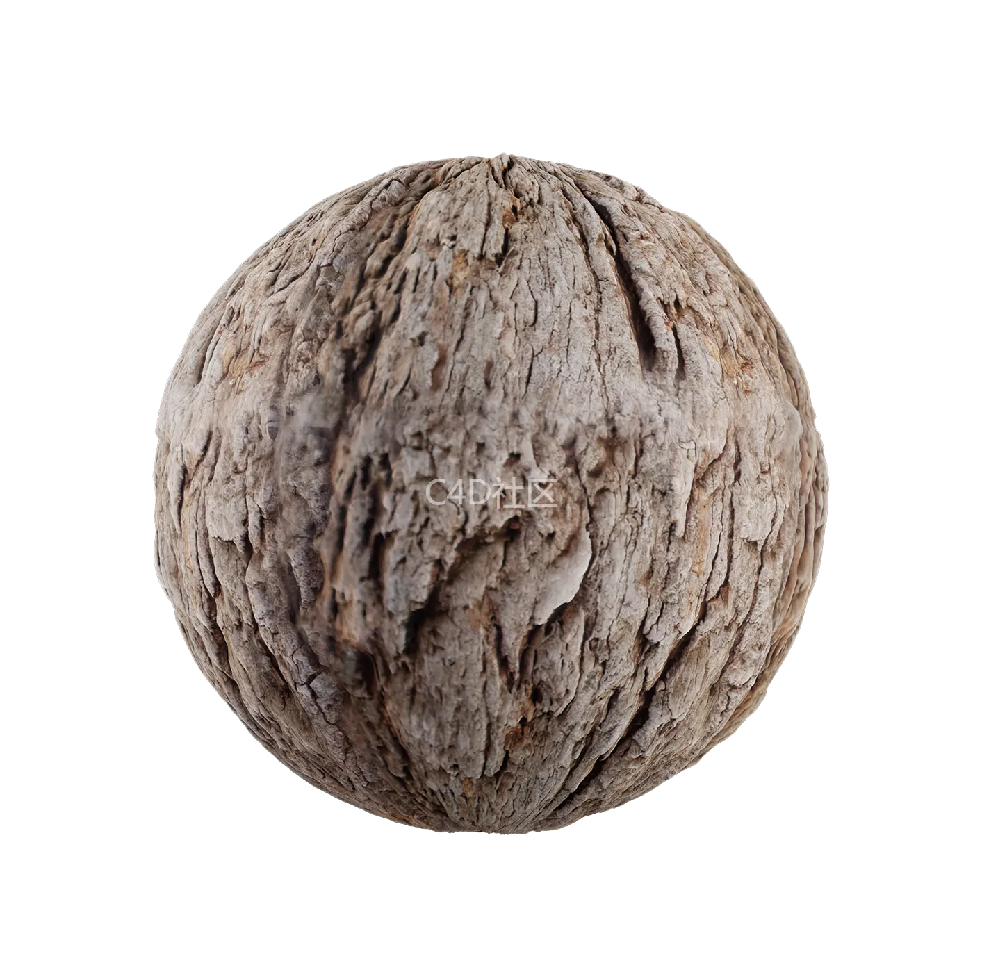 树皮纹理25052905