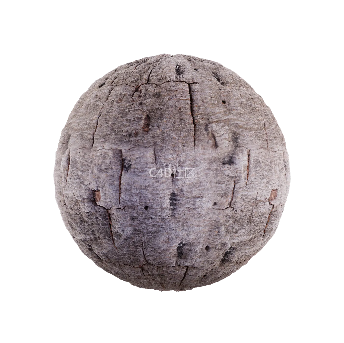 树皮纹理25052909