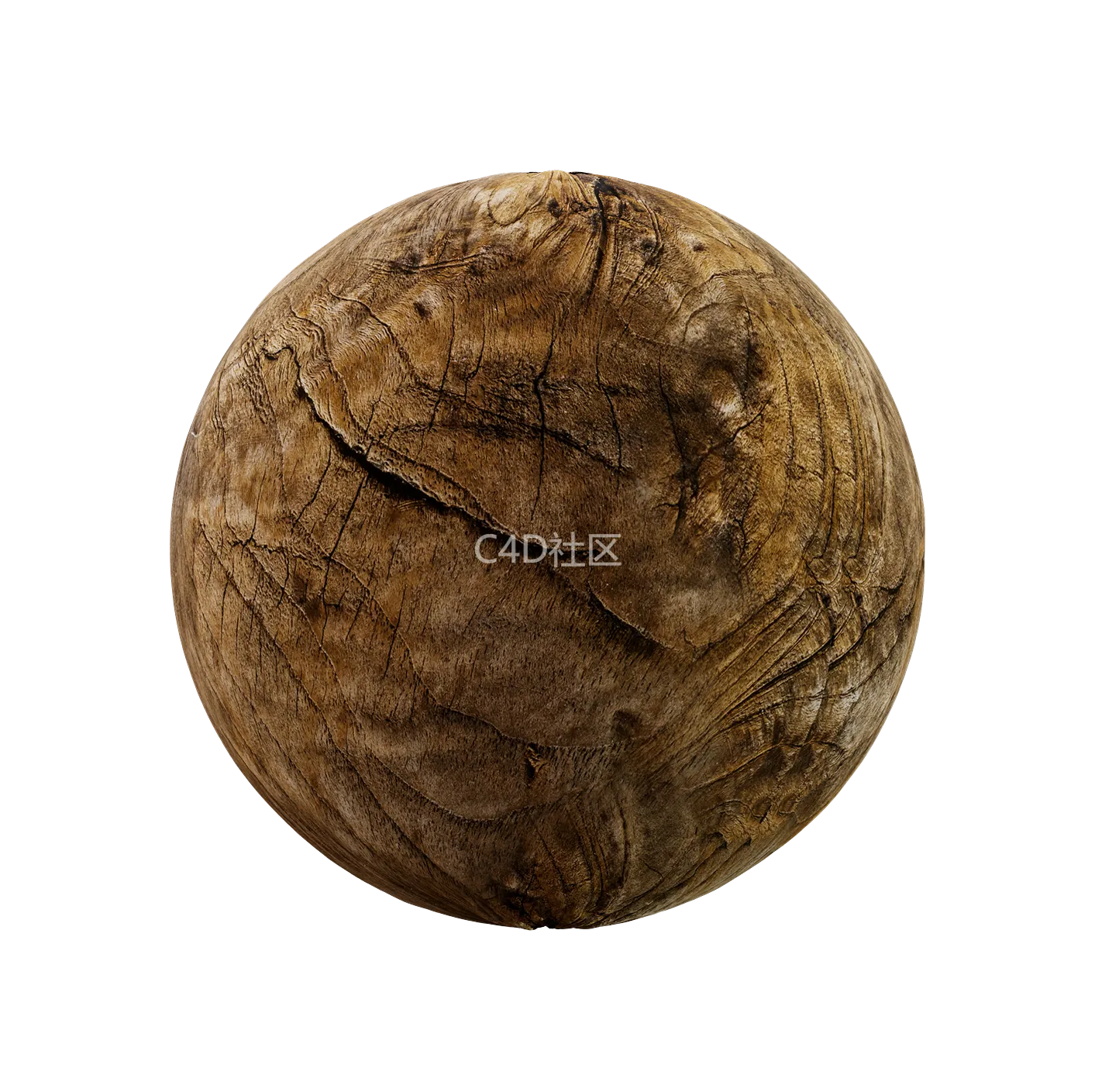 树皮纹理25052910