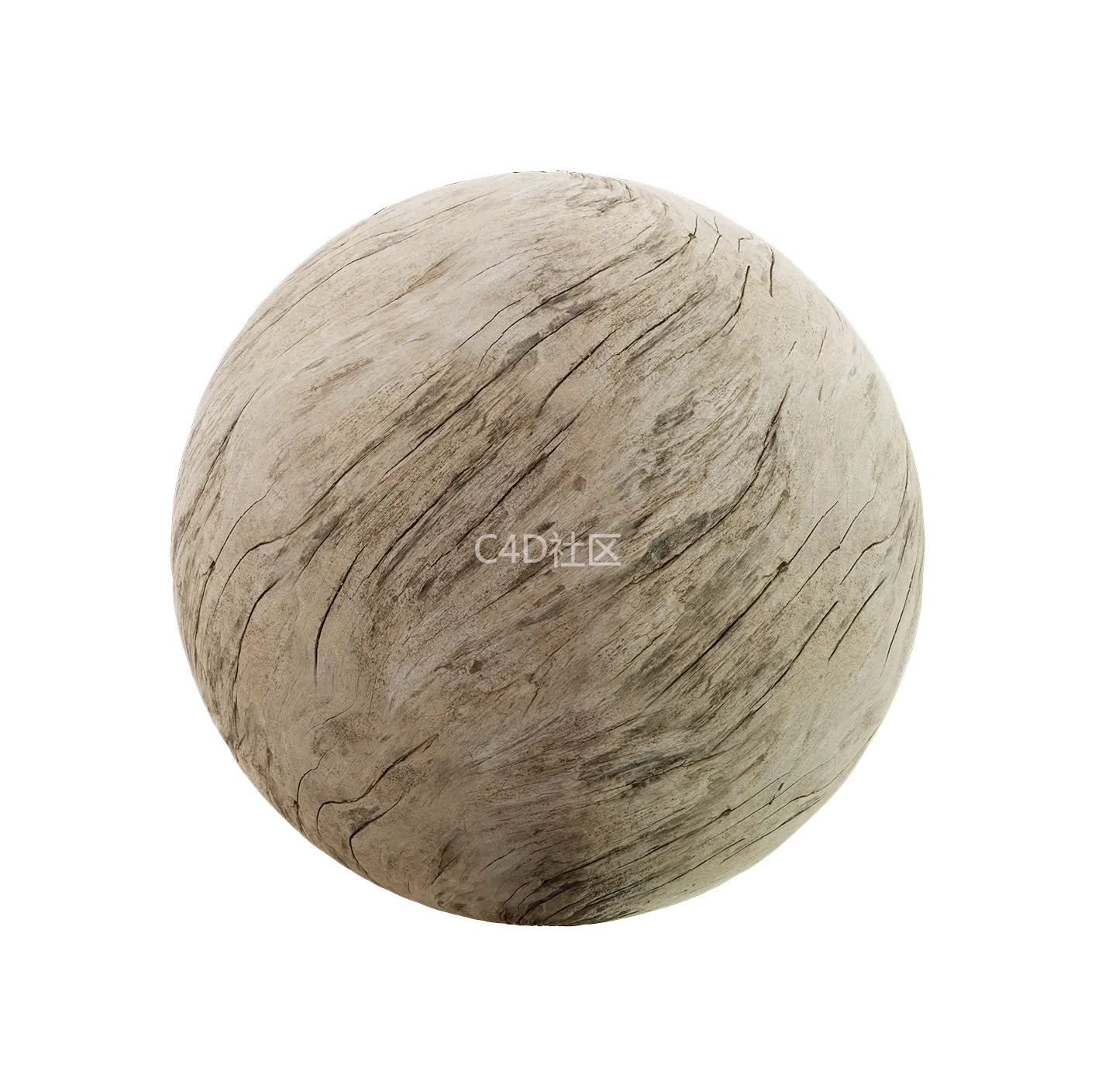 树皮纹理25052911