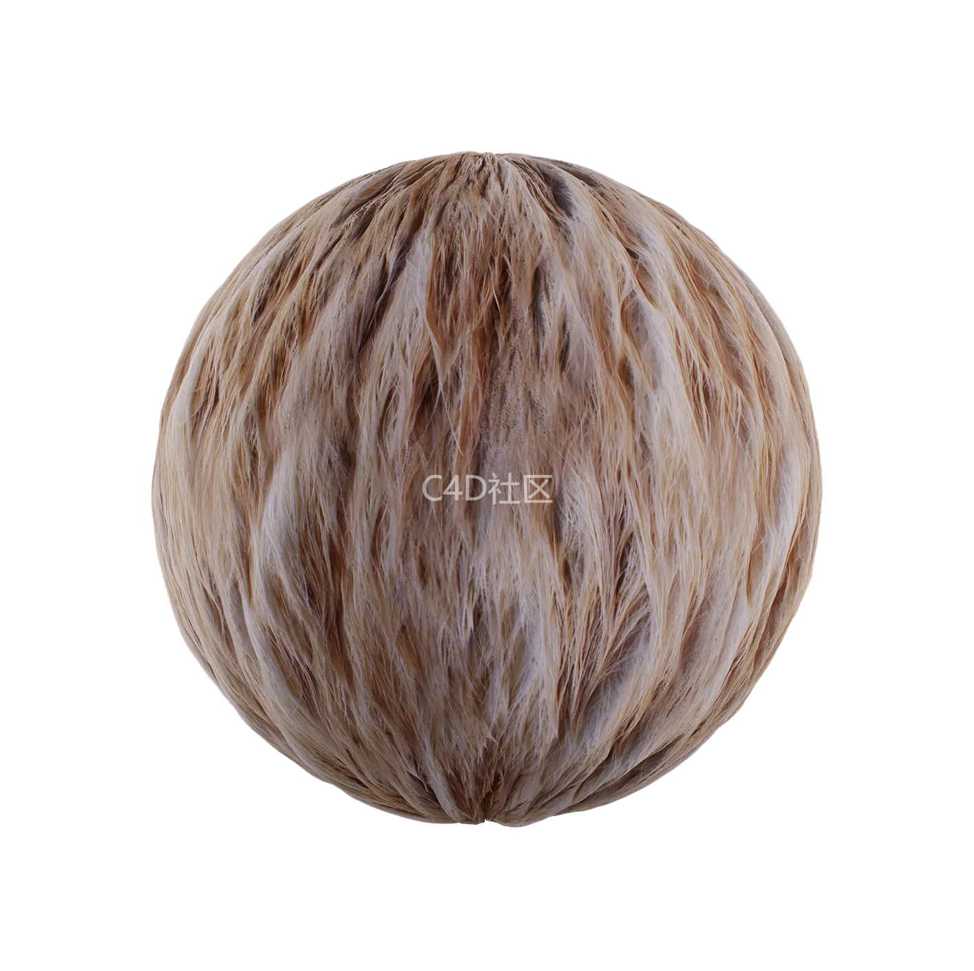 皮毛纹理250528321