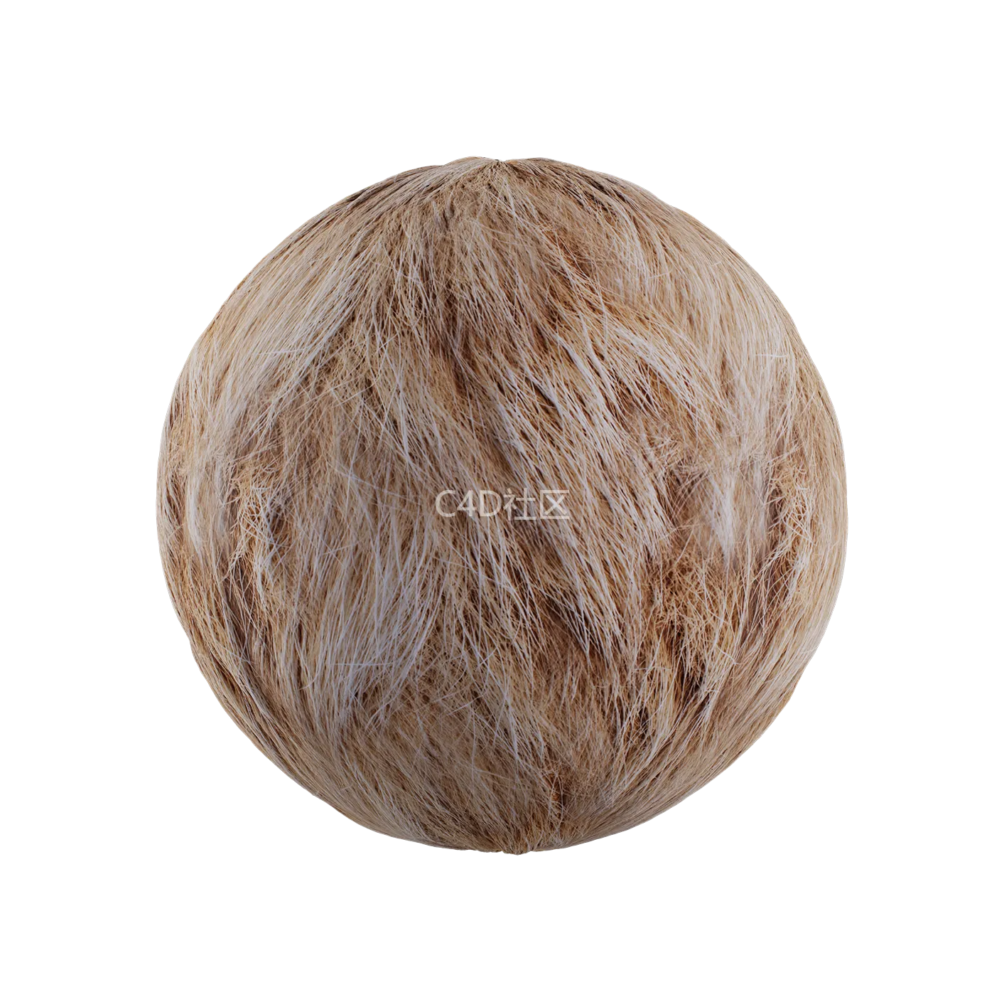 皮毛纹理250528333