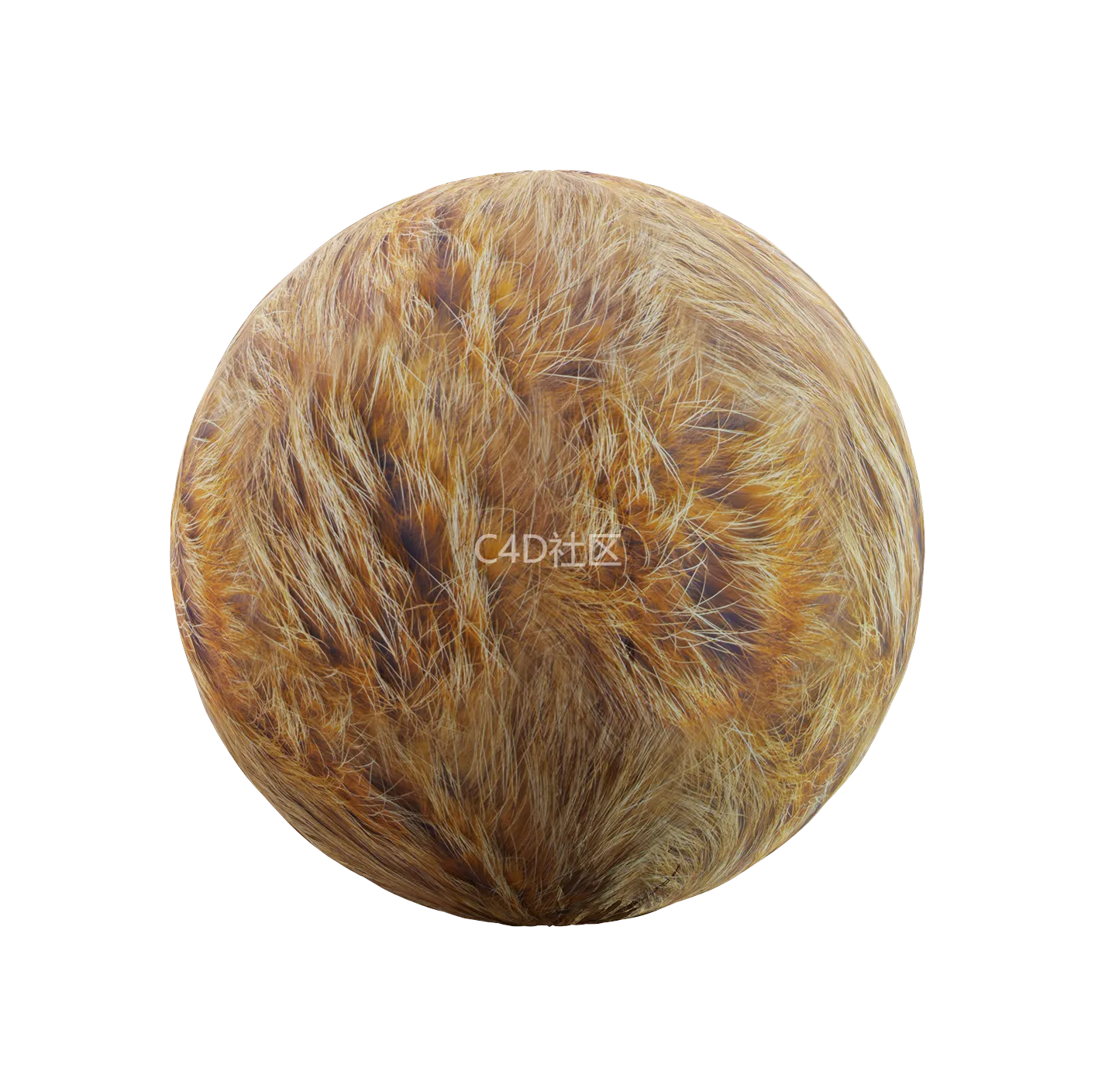 皮毛纹理250528340