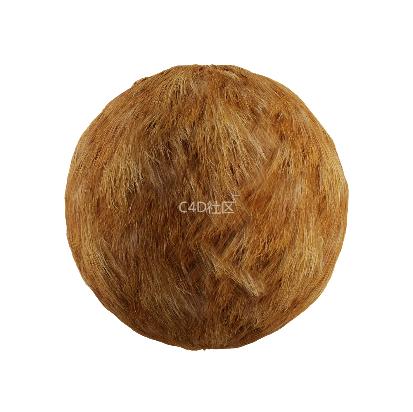 皮毛纹理250528346