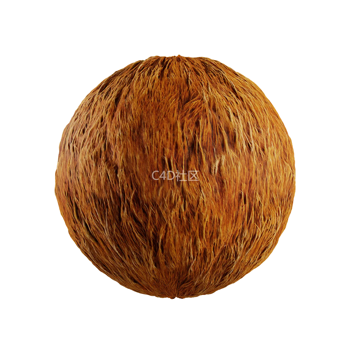 皮毛纹理250528364