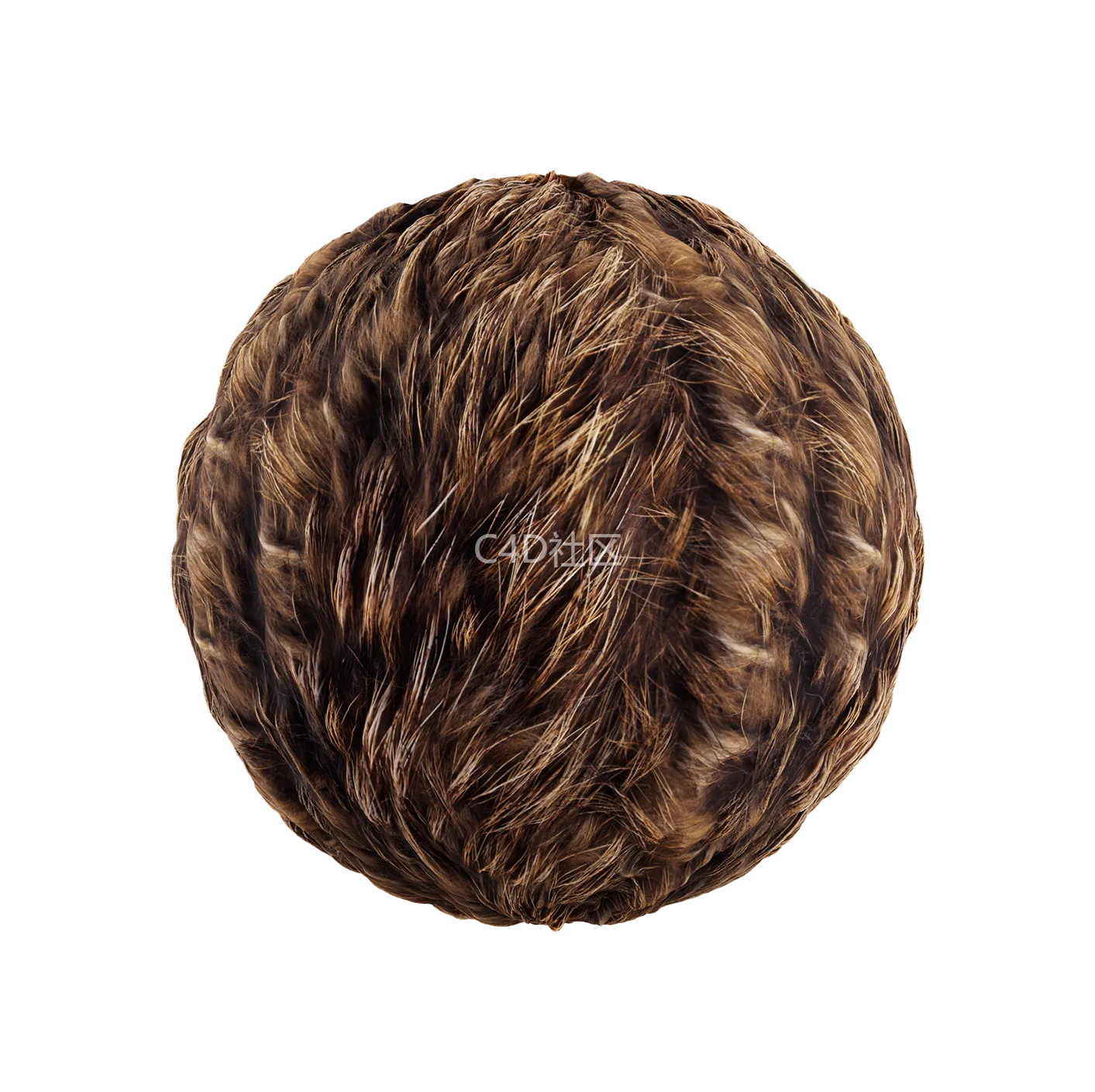 皮毛纹理250528369