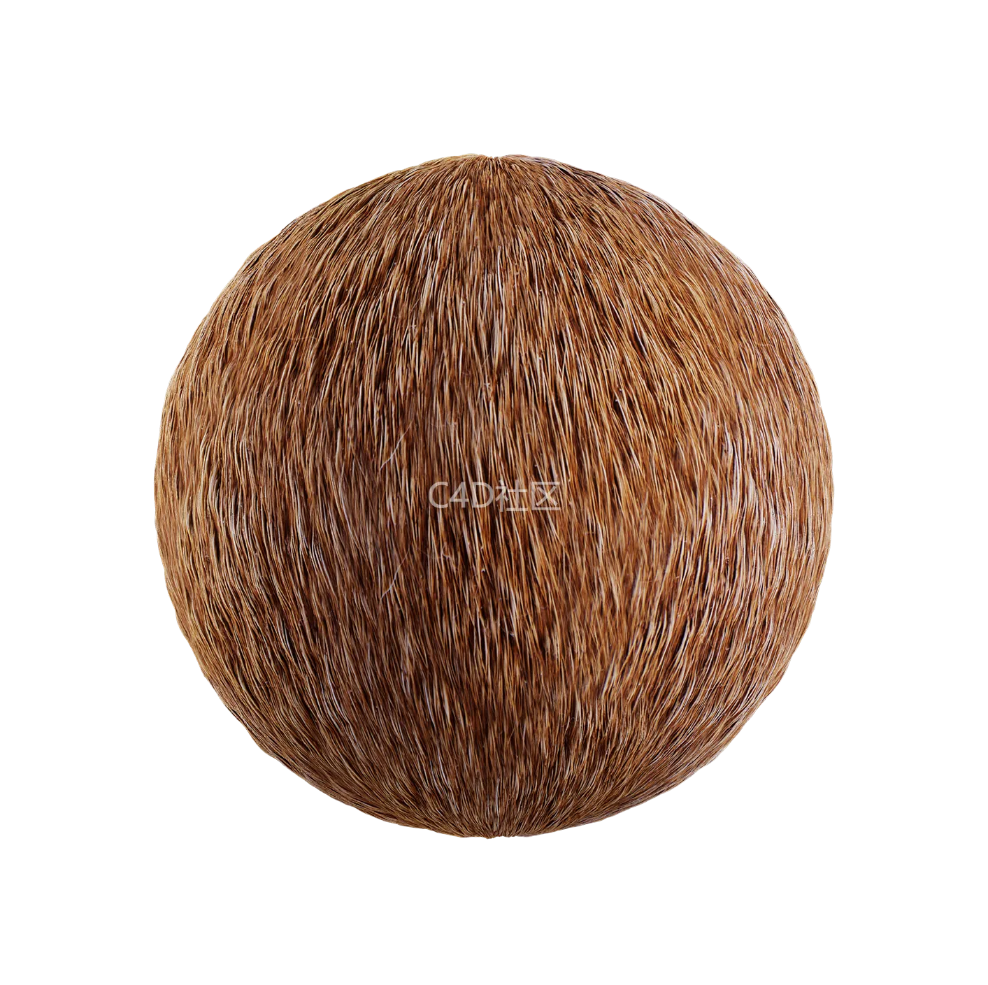 皮毛纹理250528377