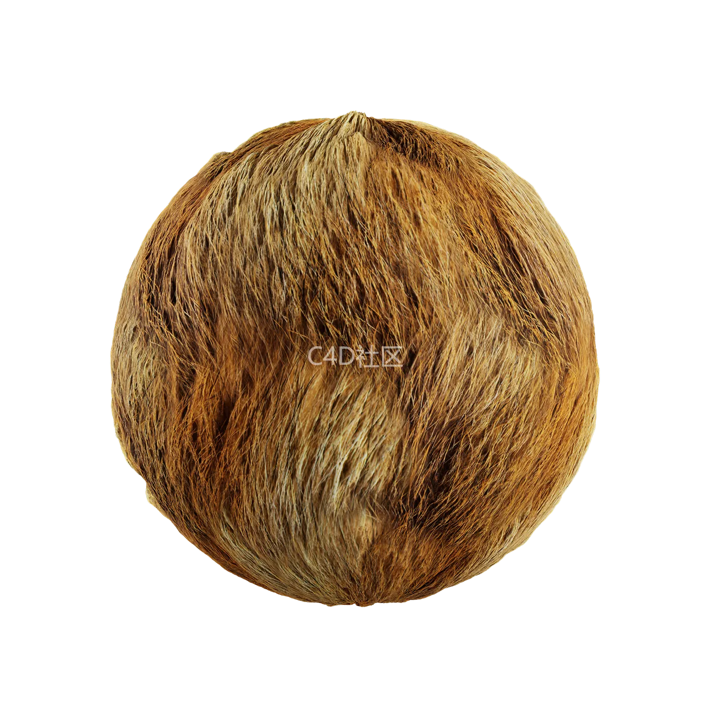 皮毛纹理250528379