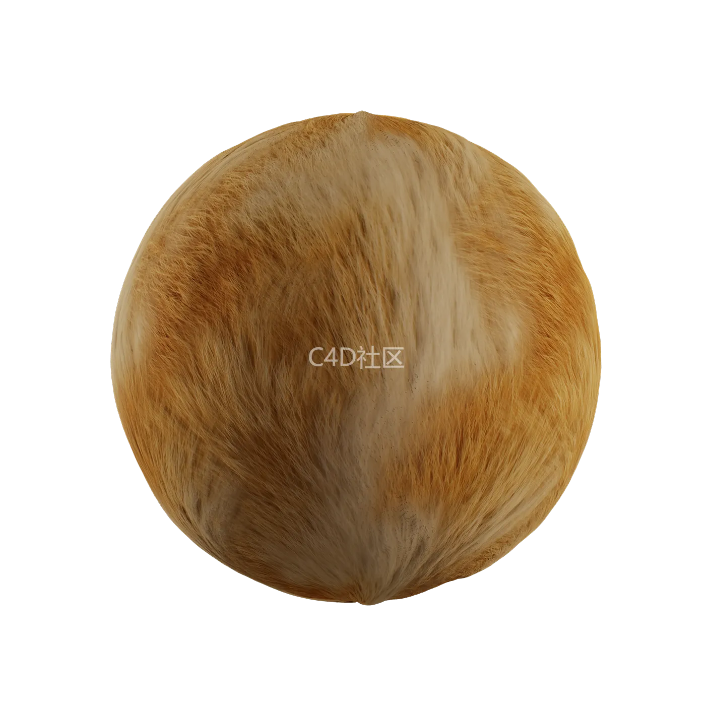 皮毛纹理250528380