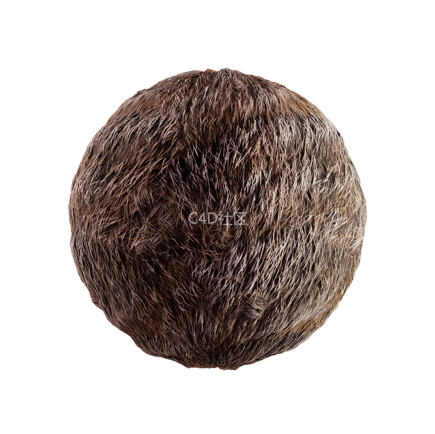 皮毛纹理250528383