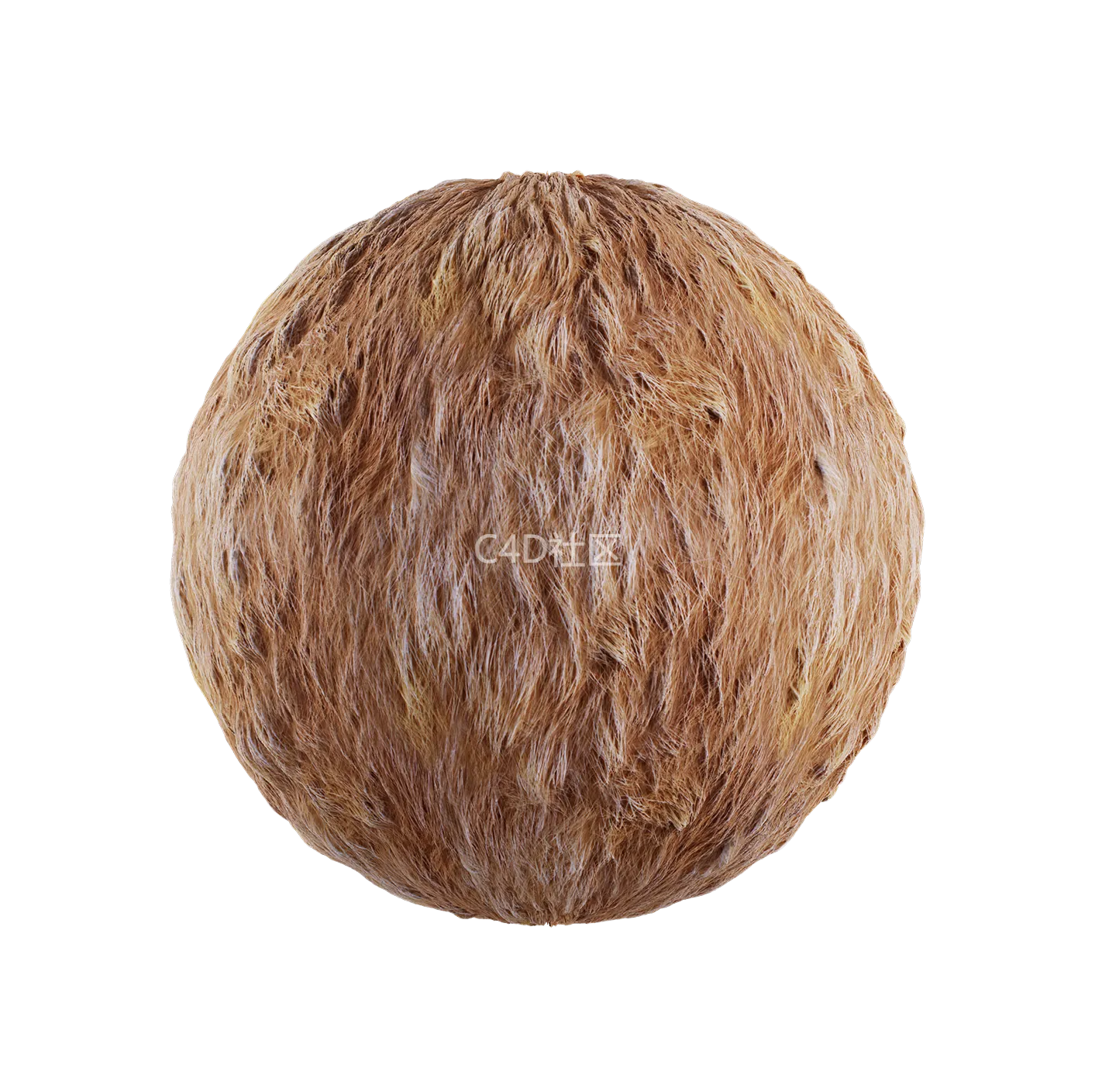 皮毛纹理250528387