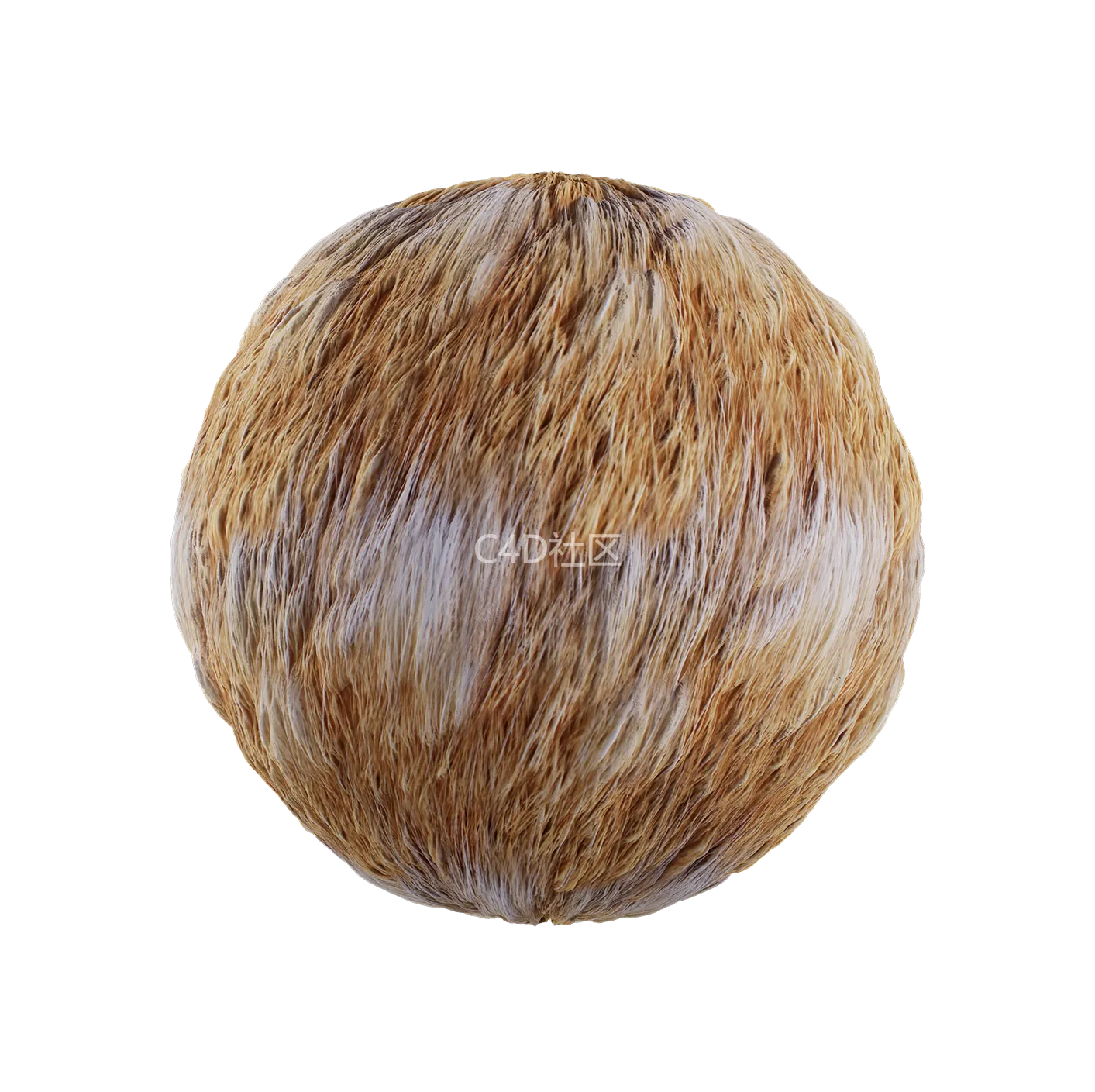 皮毛纹理250528390