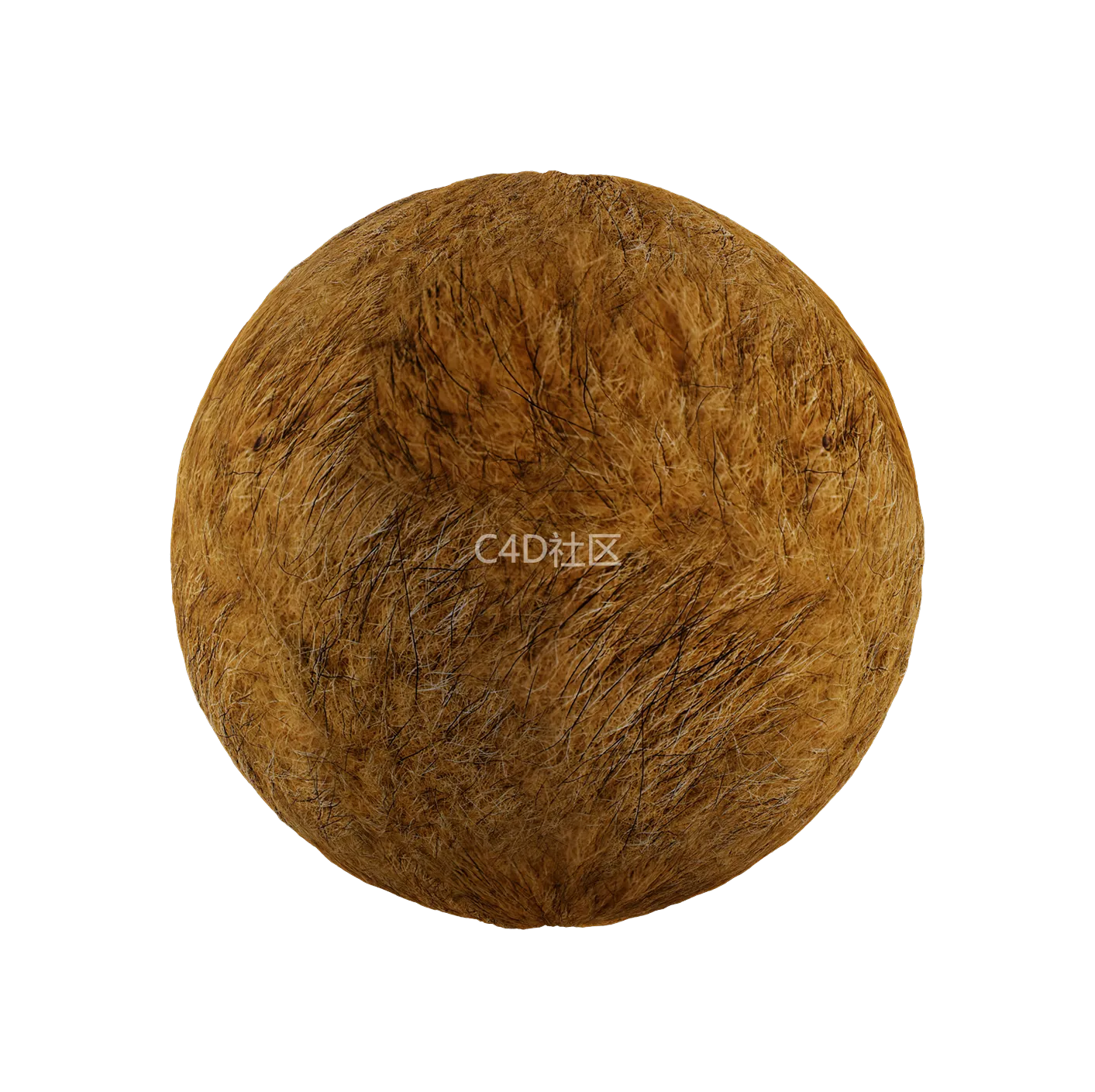 皮毛纹理250528408