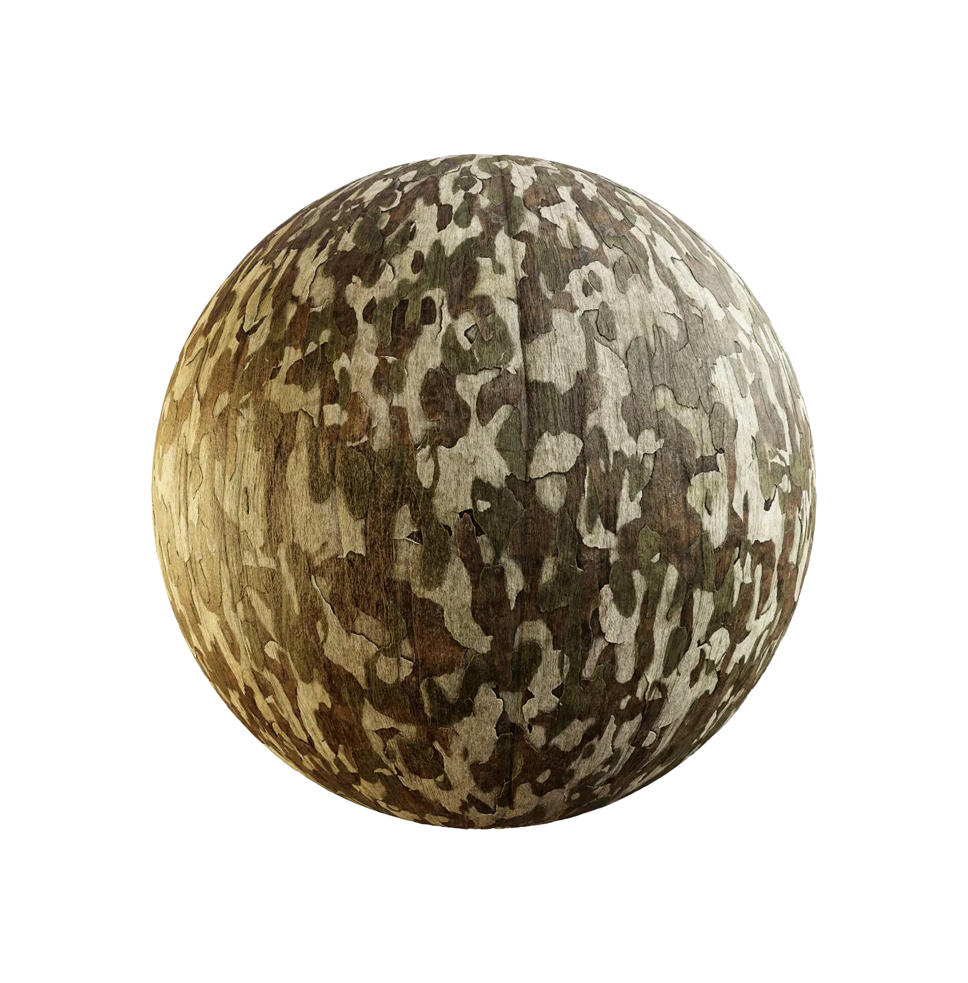 东方梧桐树皮25060898