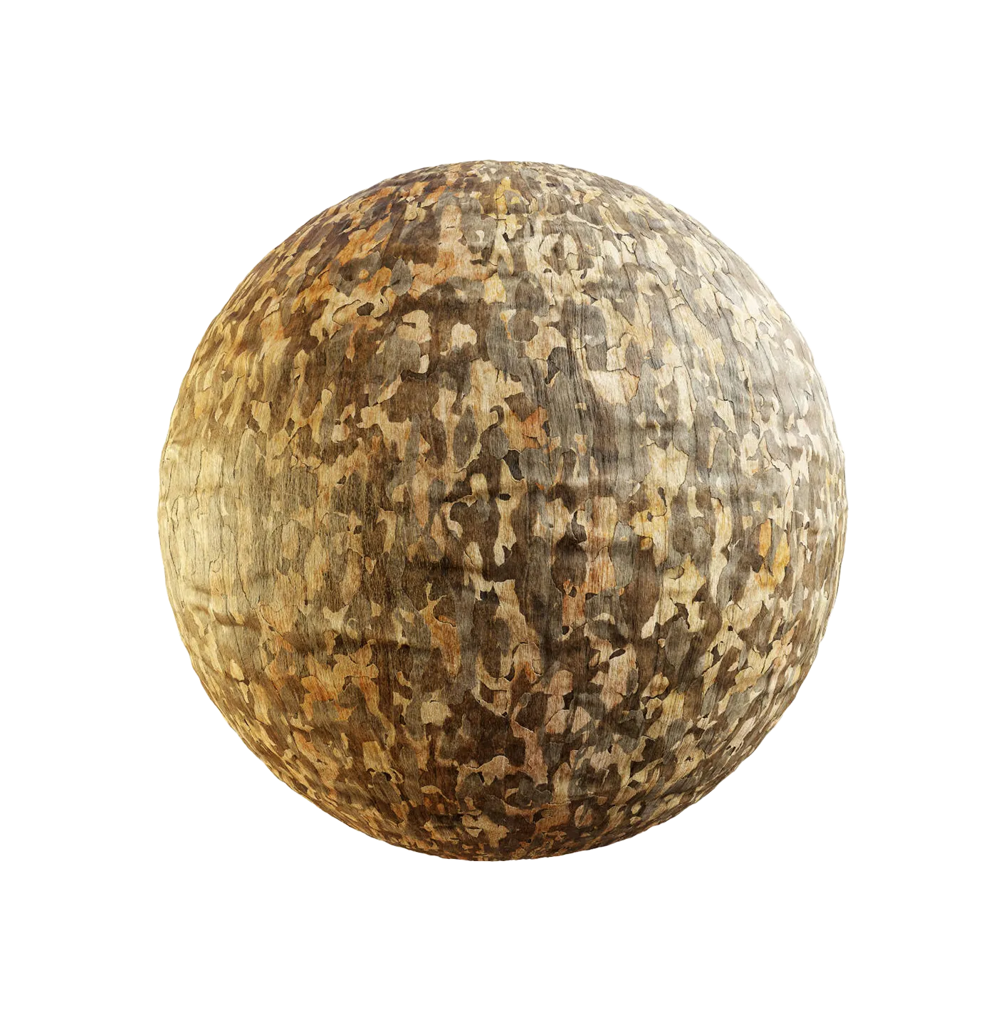 东方梧桐树皮25060899