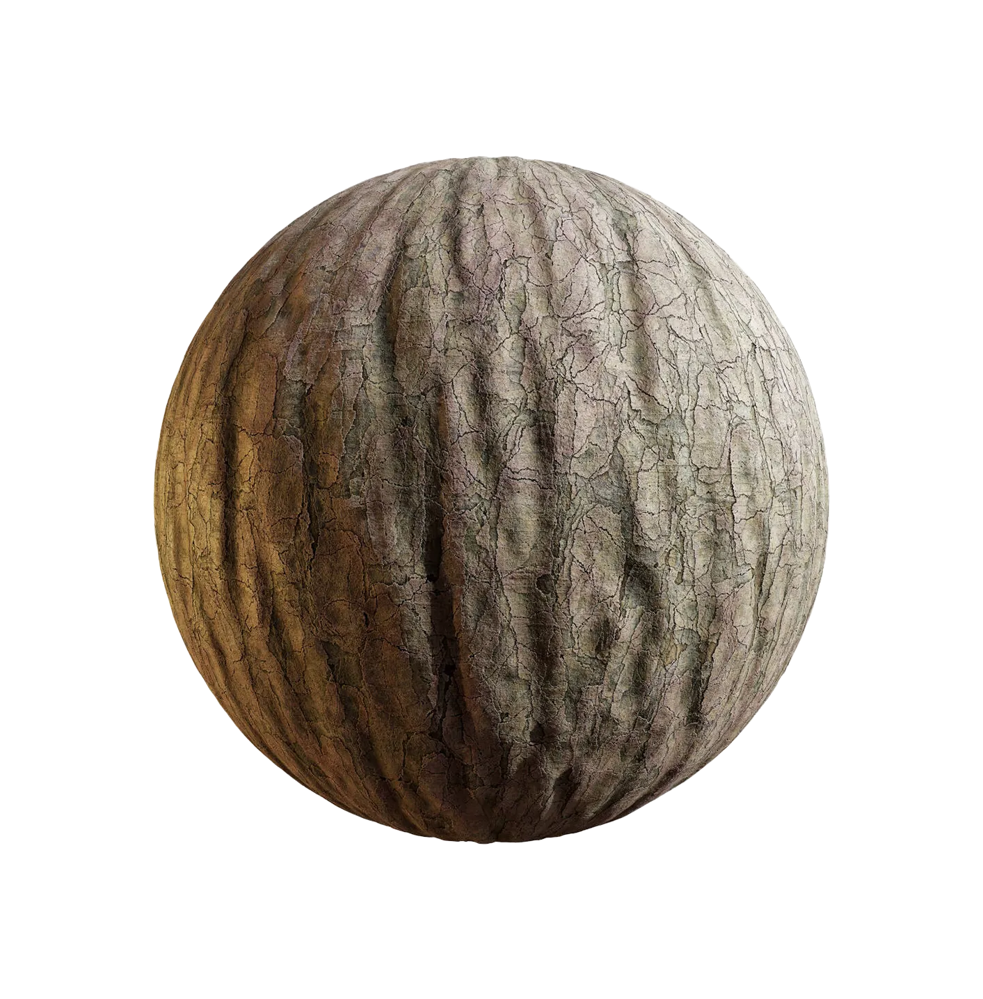 中国白松树皮25060864