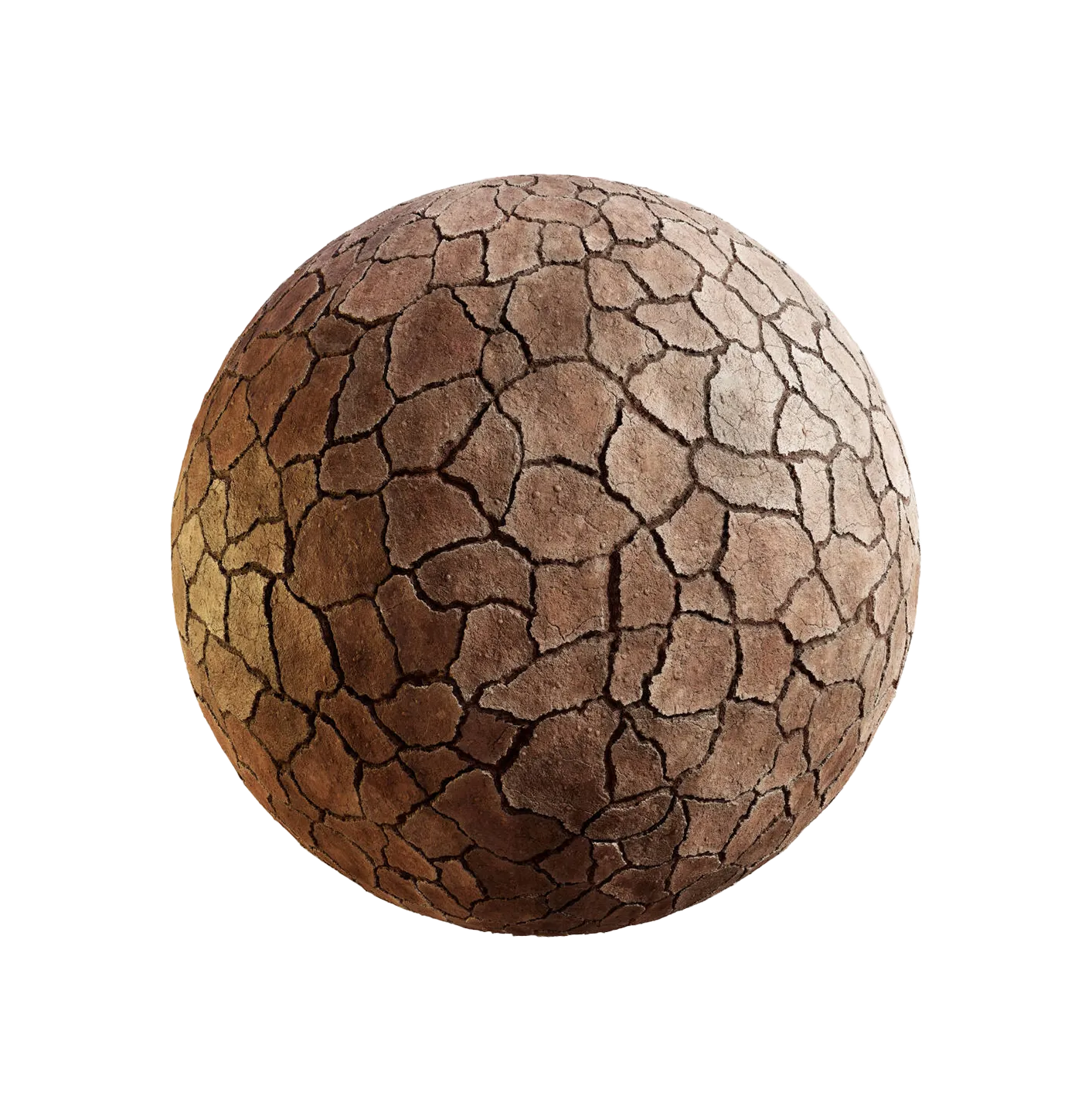 中国白松树皮25060865