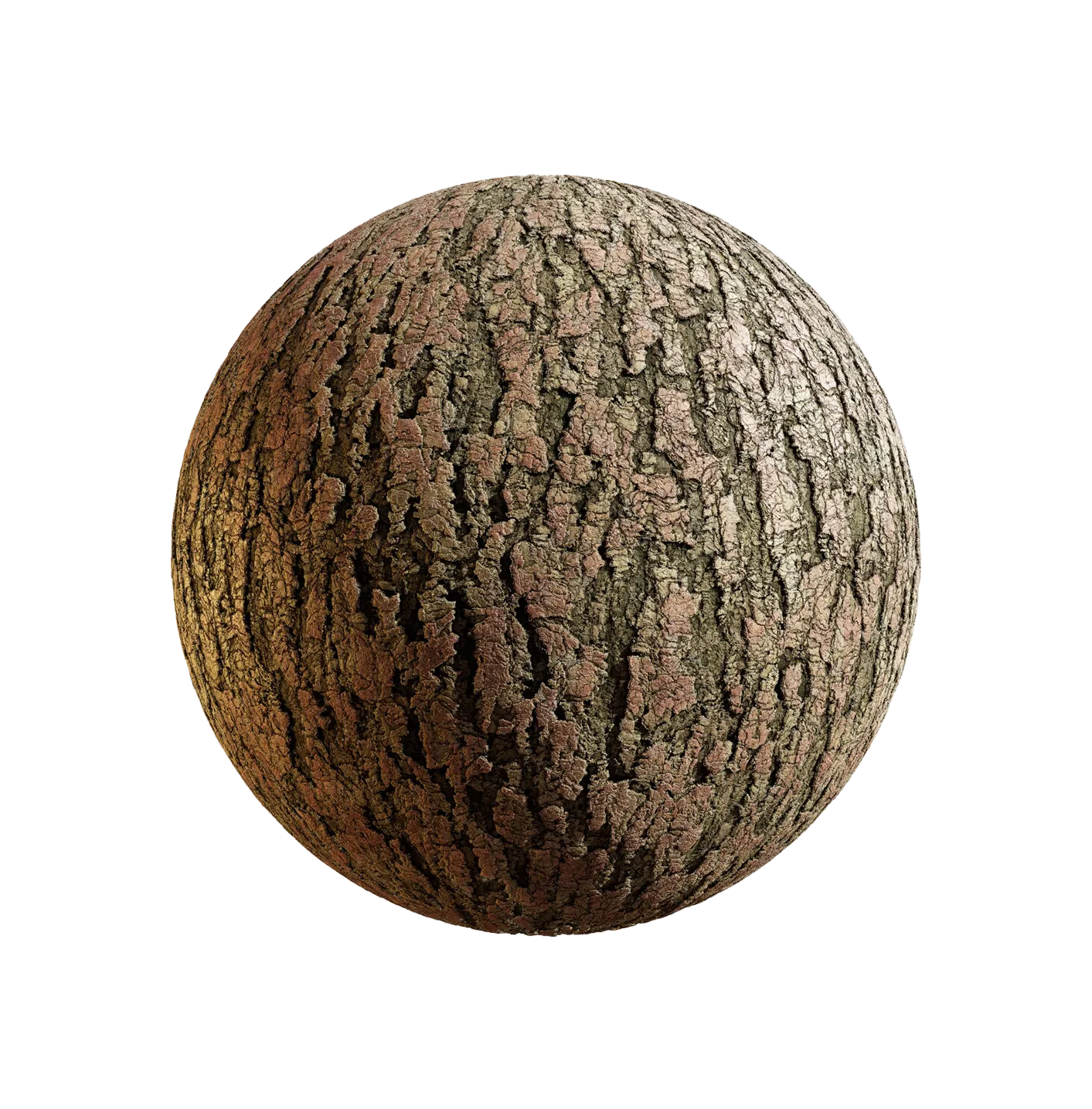 中国白松树皮25060868