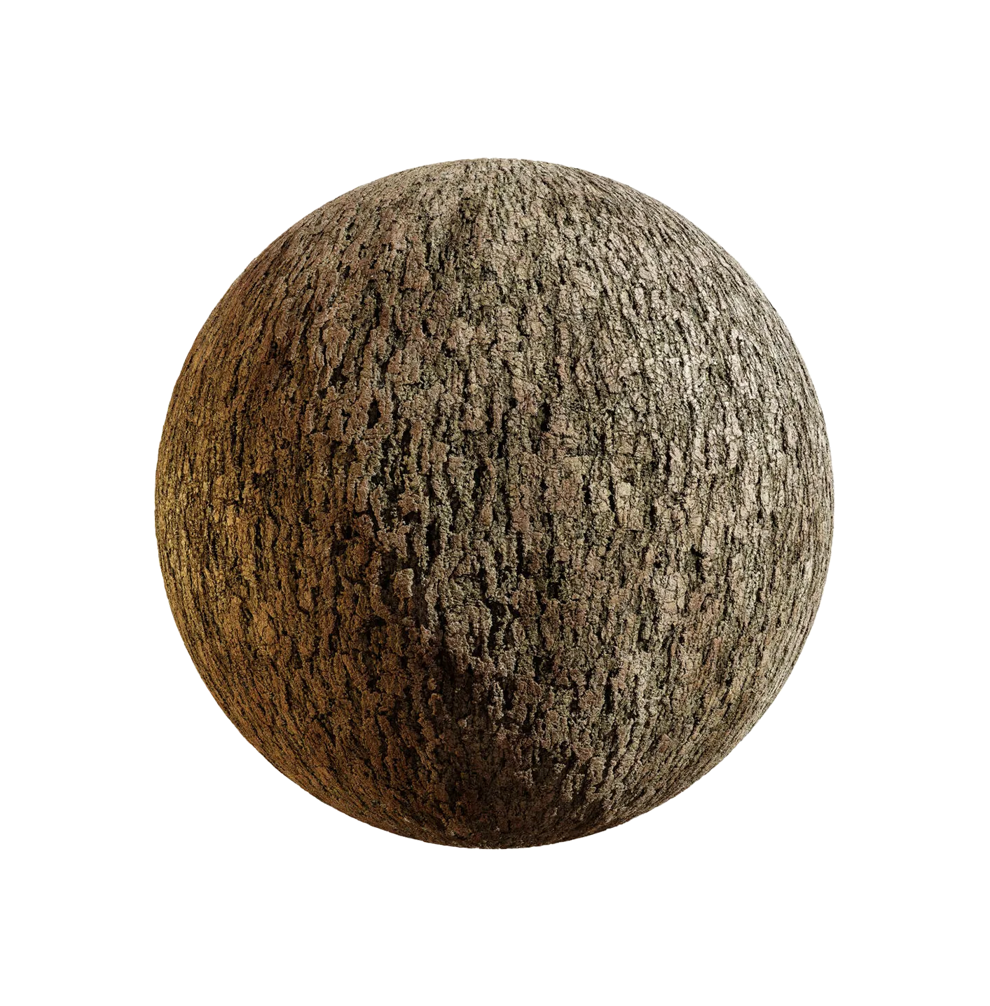 中国白松树皮25060869