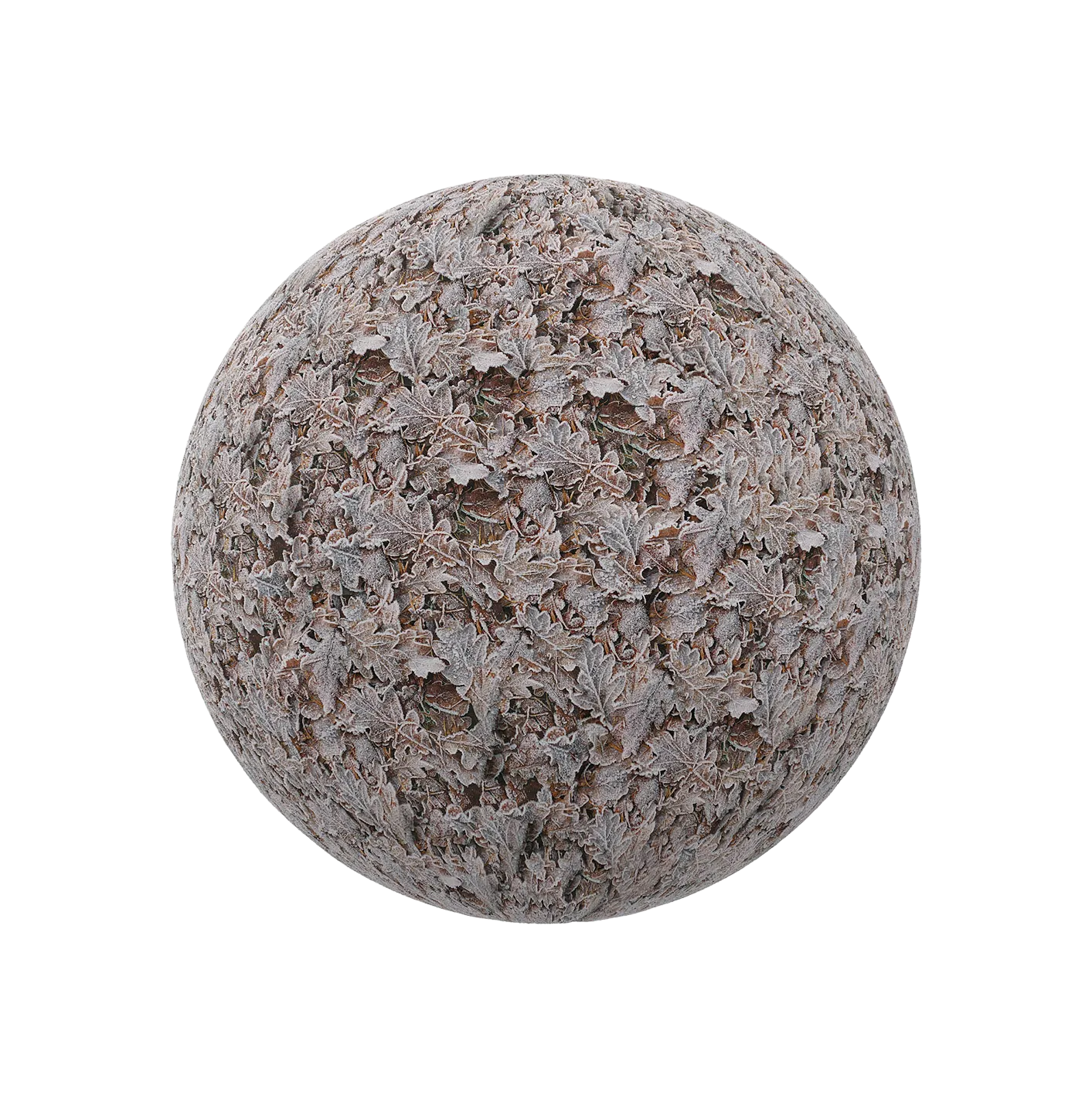 冰冻的干树叶250609400