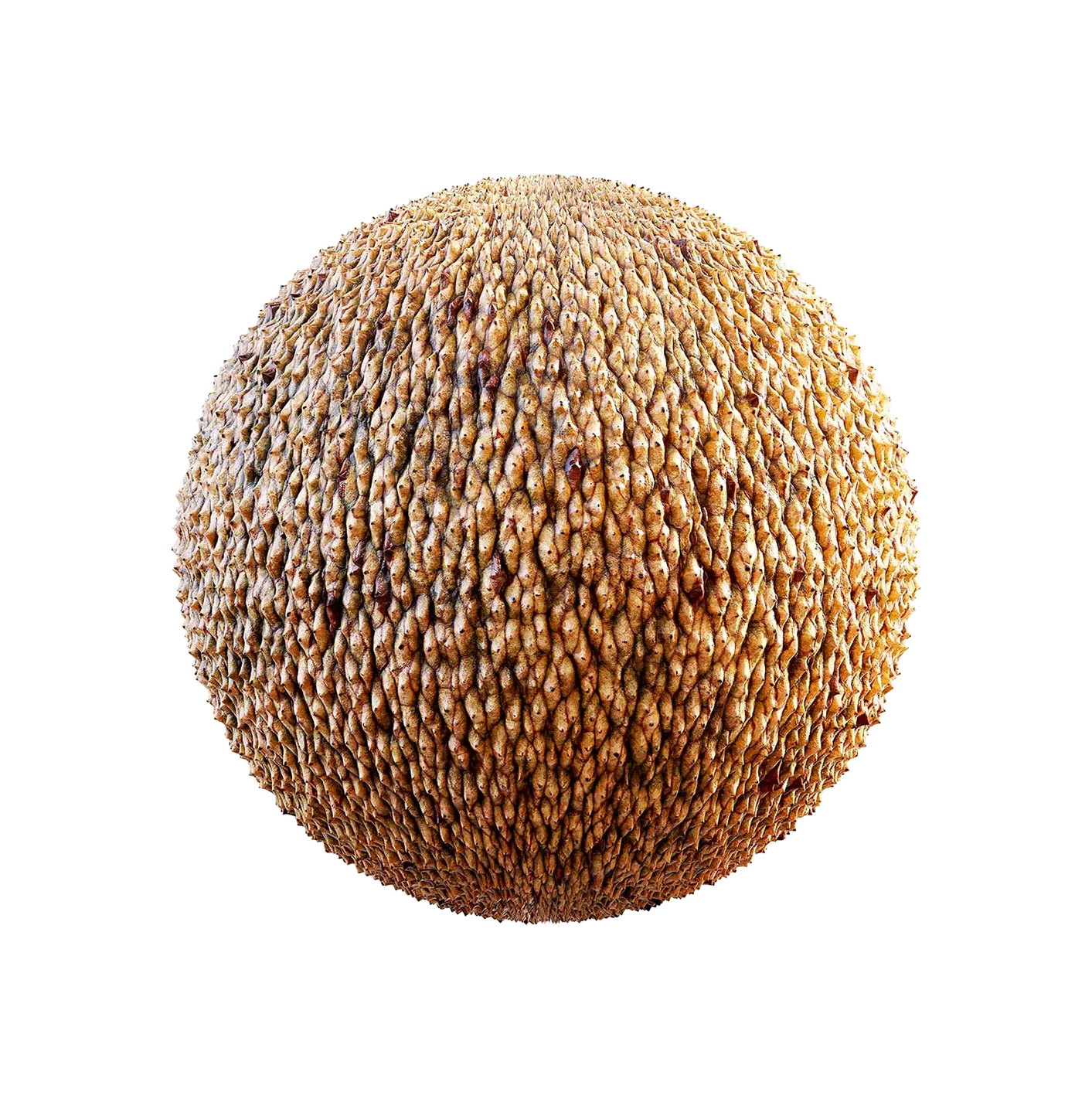 带刺橙色生物皮肤2506101168