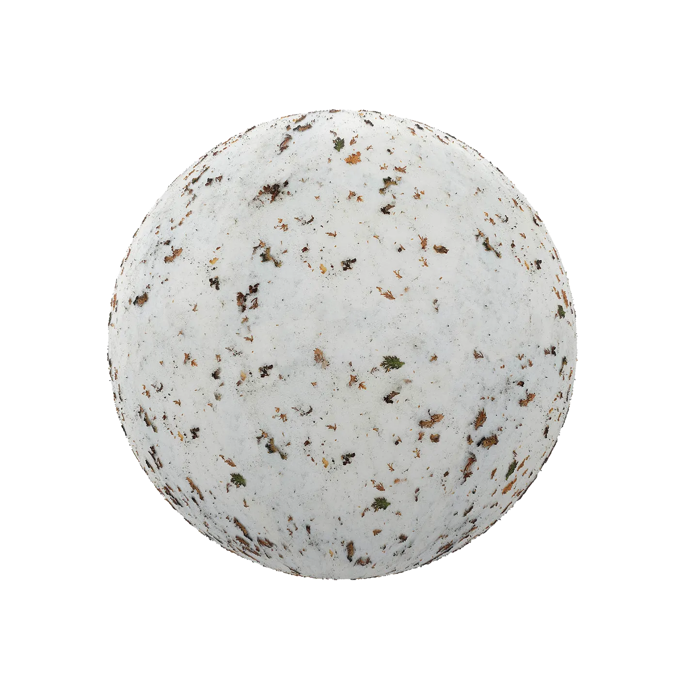 带干树叶的雪250609318