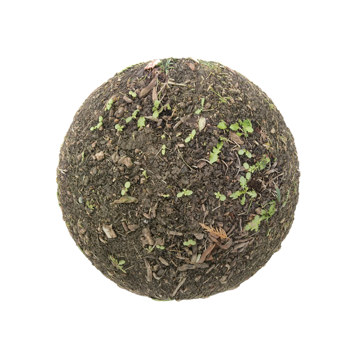 带植物和树枝的泥土2506101440