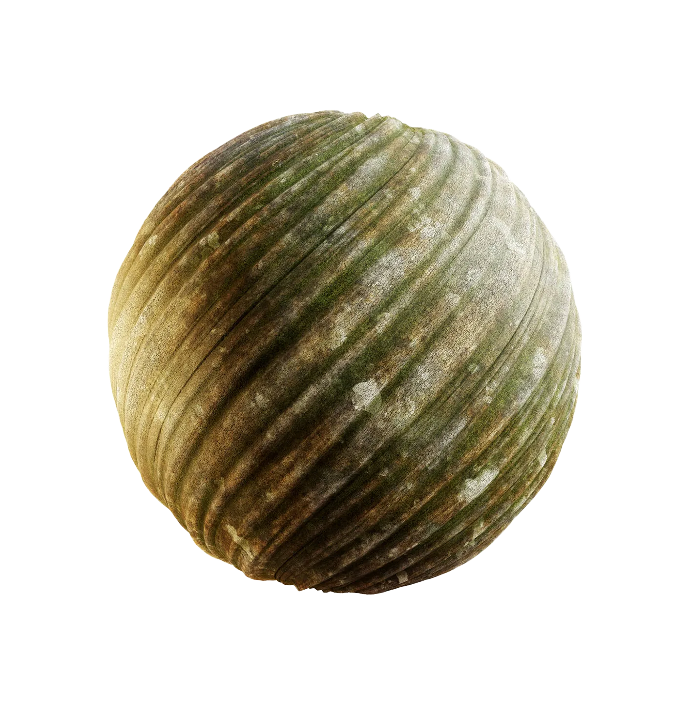 带苔藓的沉香木树皮25060892