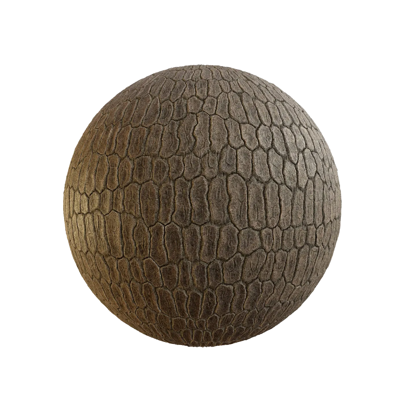 带苔藓的韩国云杉树皮25060894