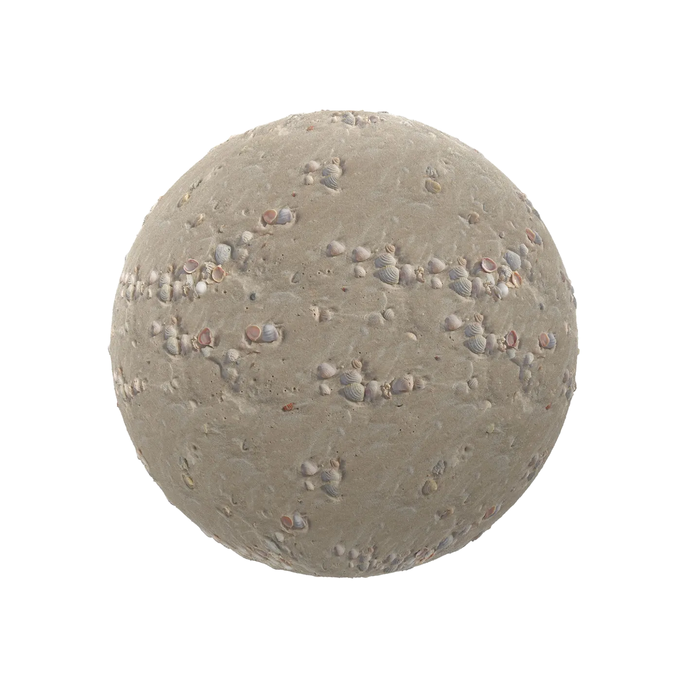 带贝壳的沙2506101516