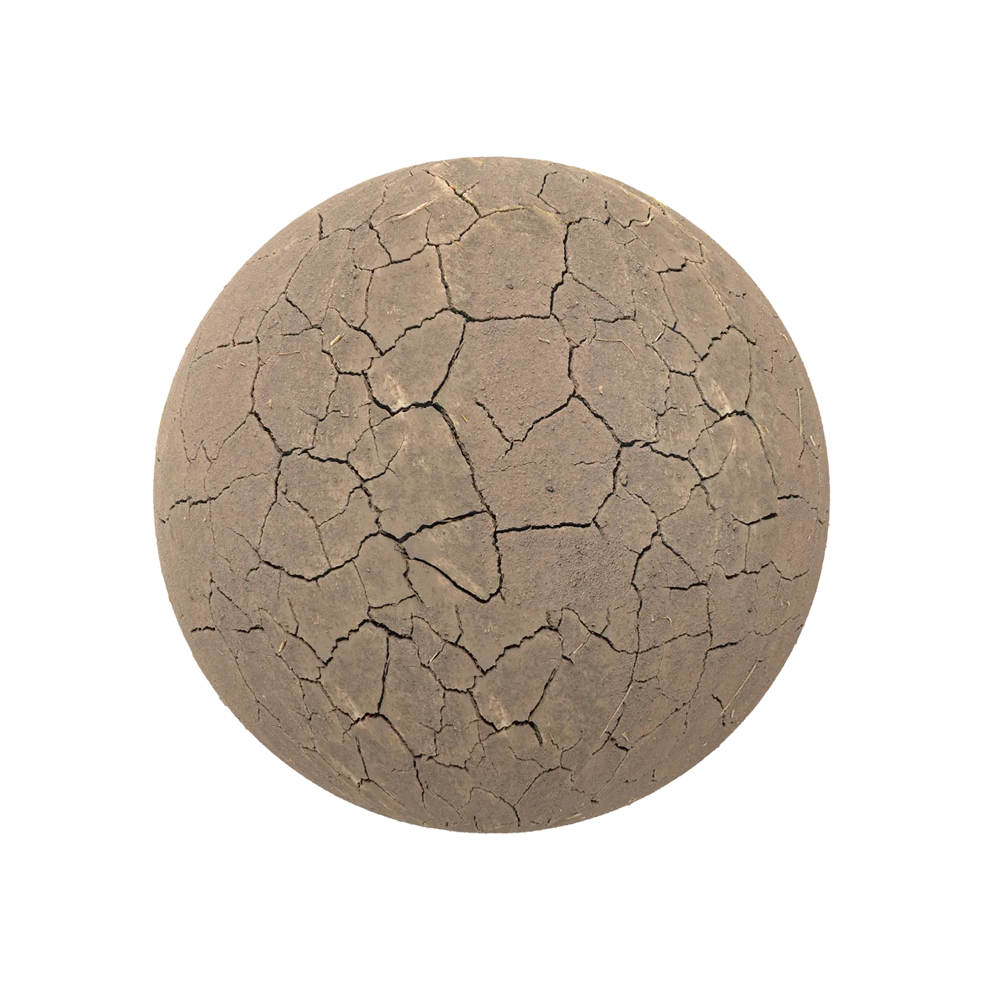 干裂纹泥土2506101442